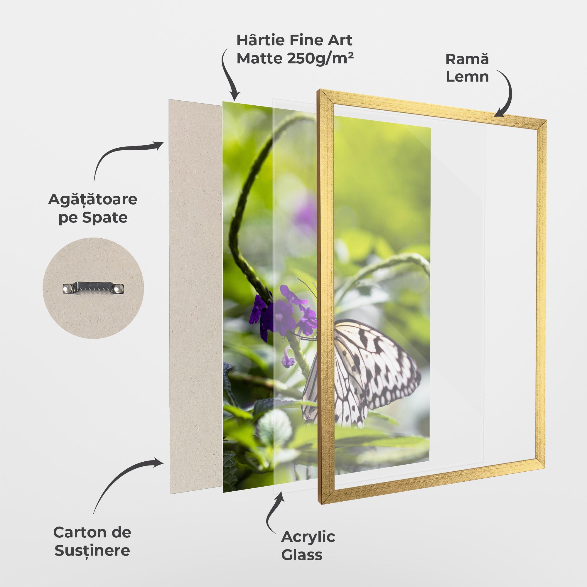 Poster Înrămat White Black Butterfly mockup 1