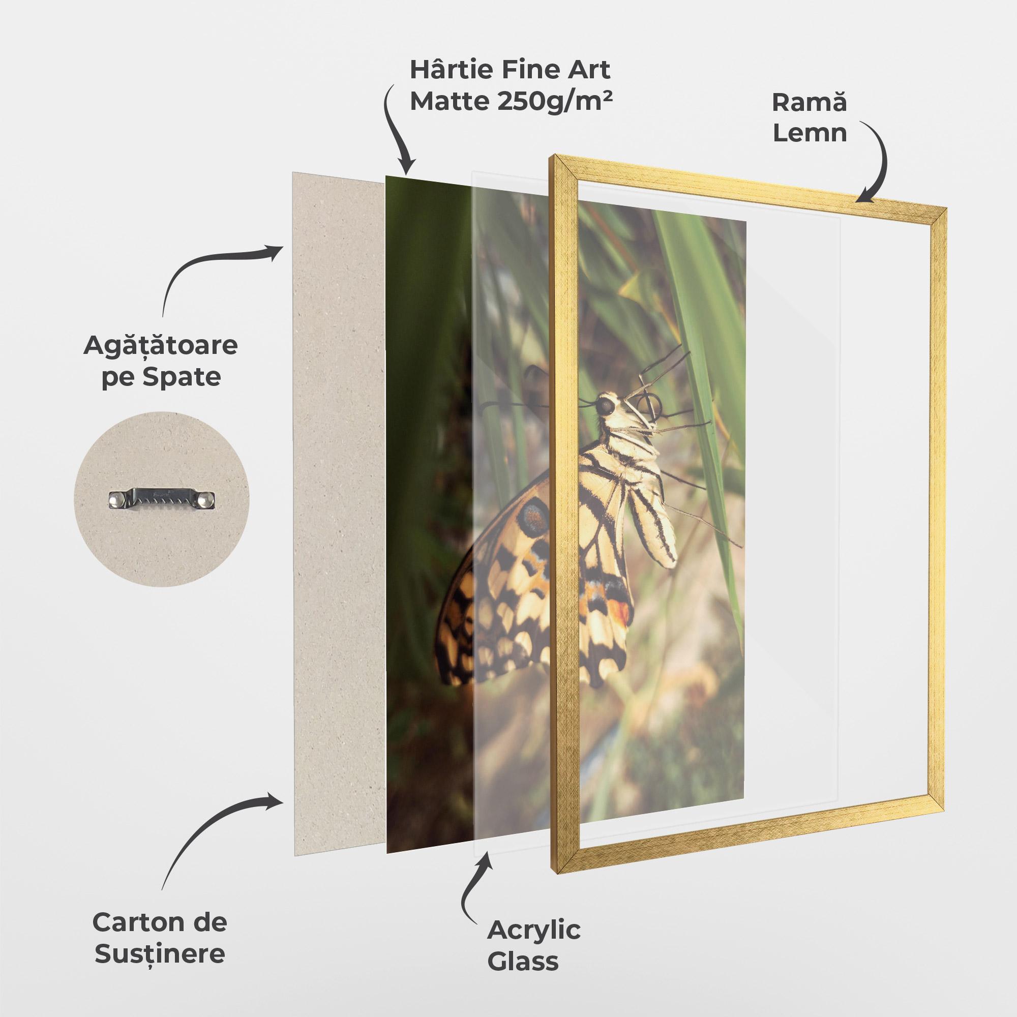 Poster Înrămat Wild Brown Butterfly mockup 1