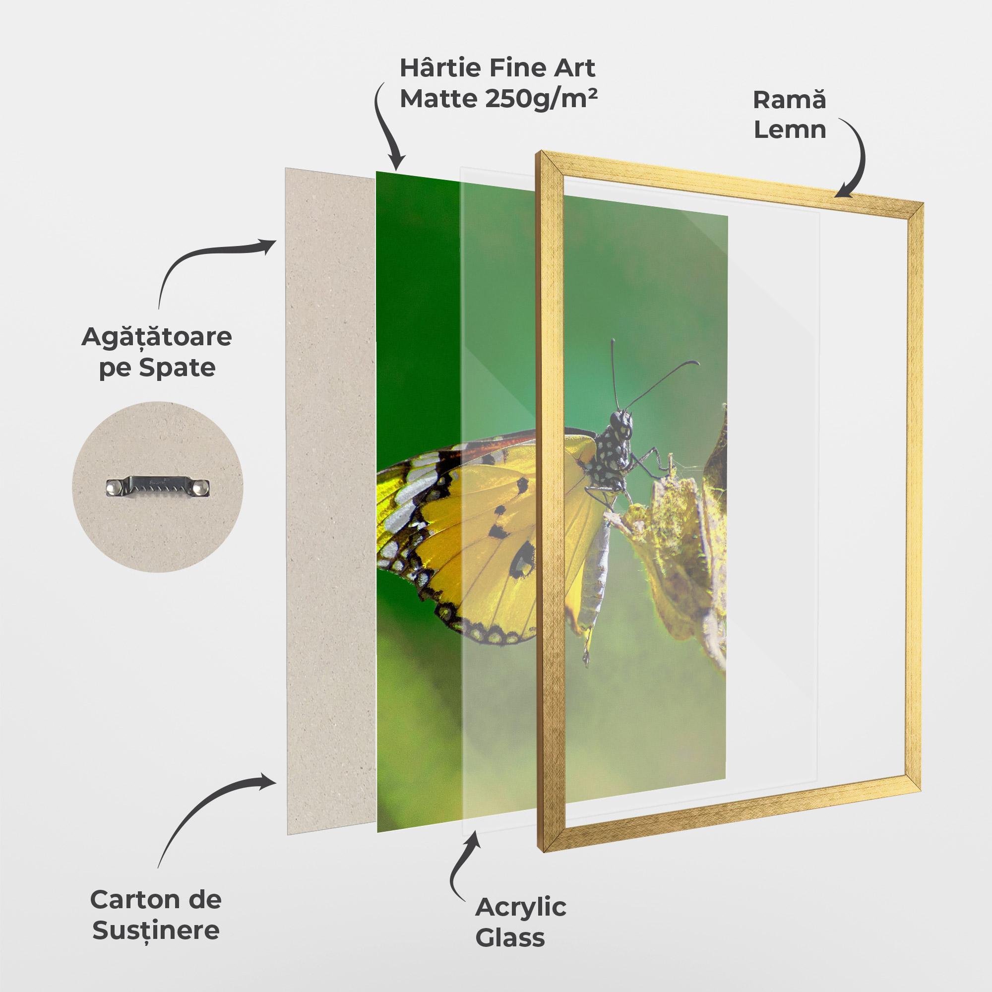 Poster Înrămat Yellow White Butterfly mockup 1