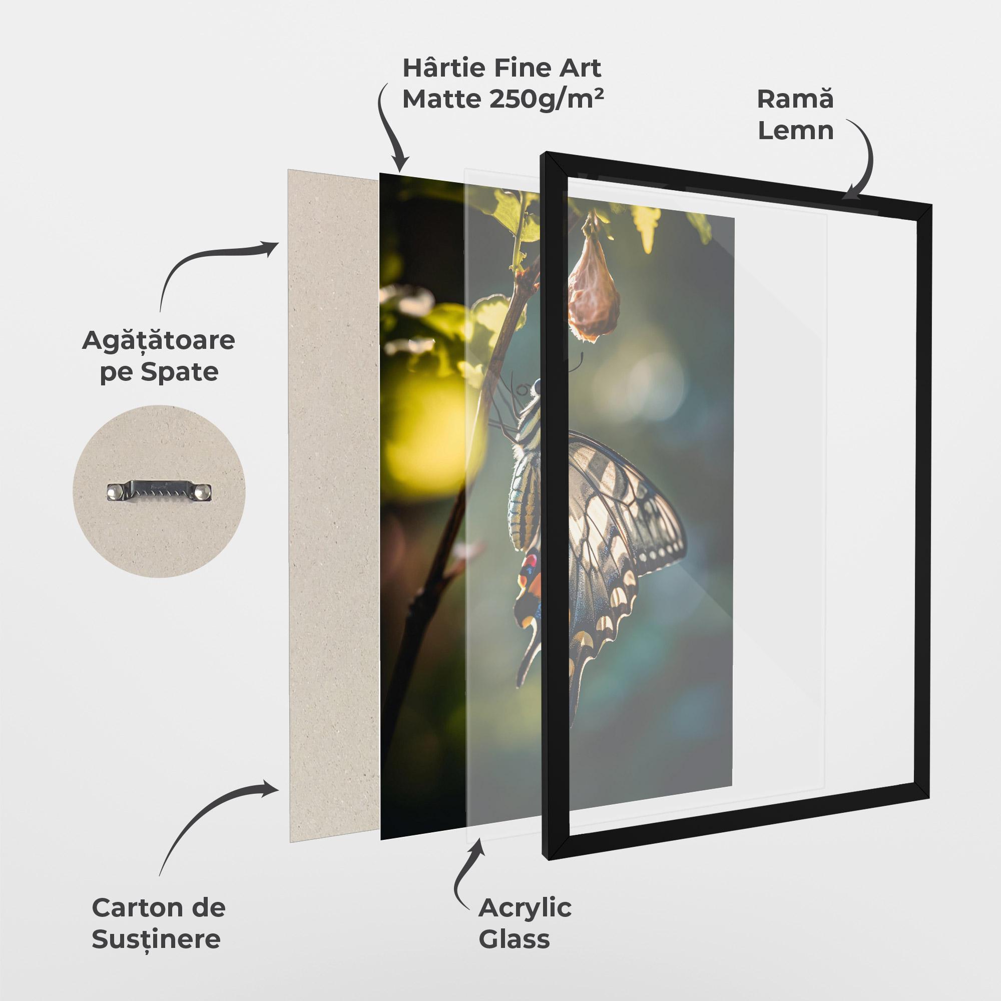 Poster Înrămat Blue Cream Butterfly mockup 1