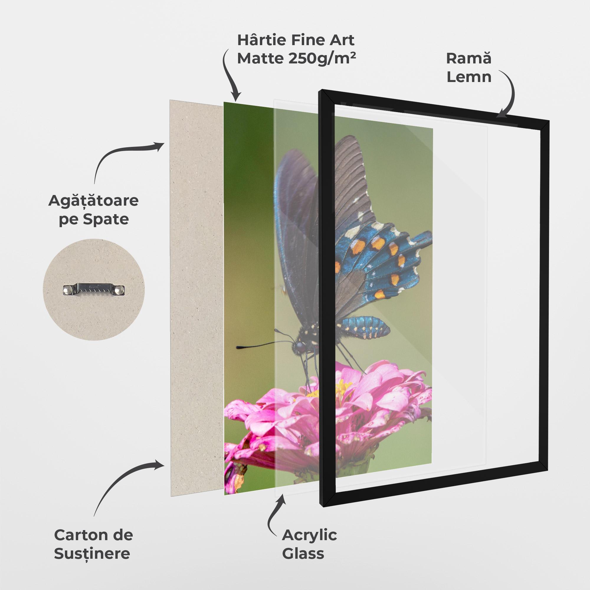 Poster Înrămat Blue Grey Butterfly mockup 1