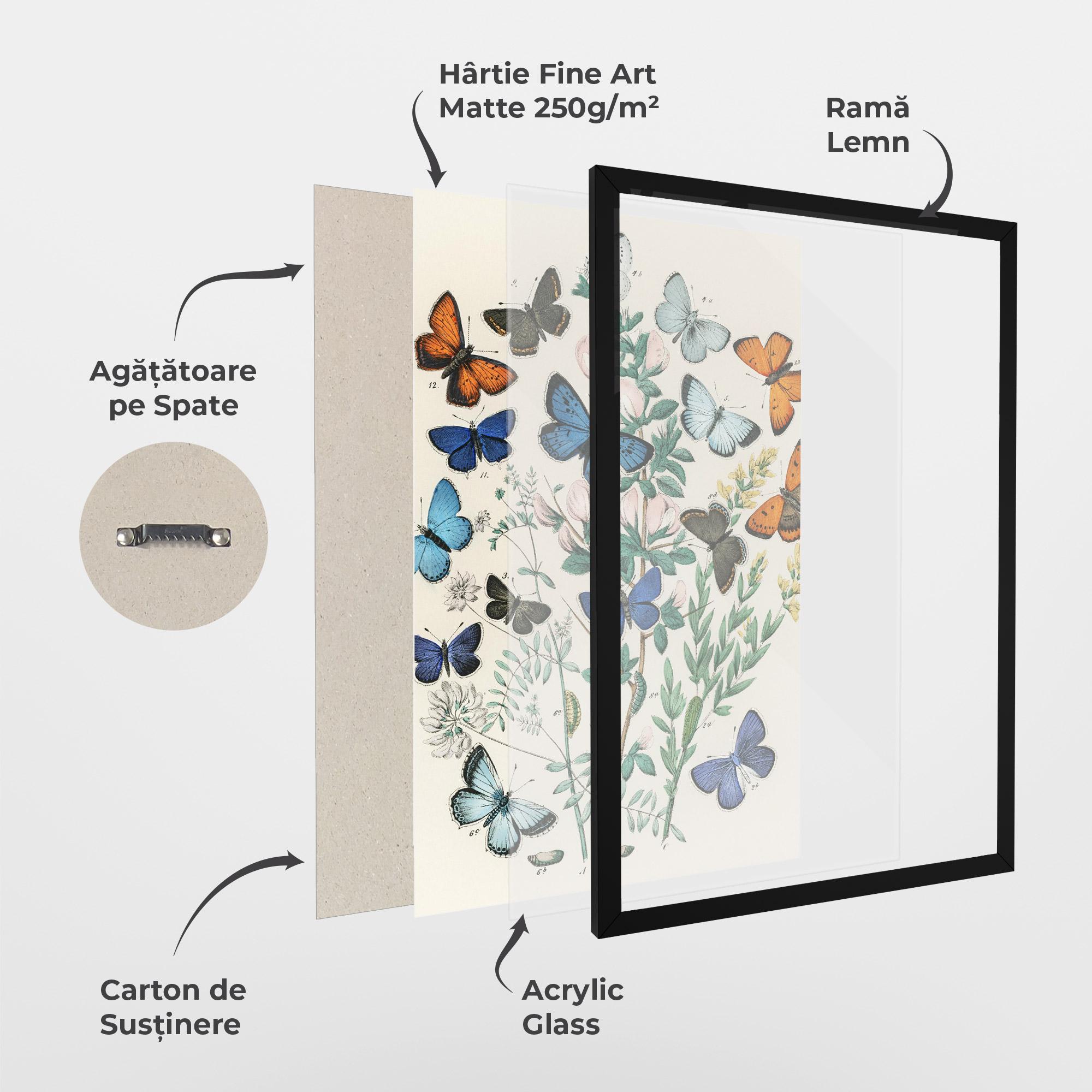 Poster Înrămat Blue Orange Butterflies mockup 1