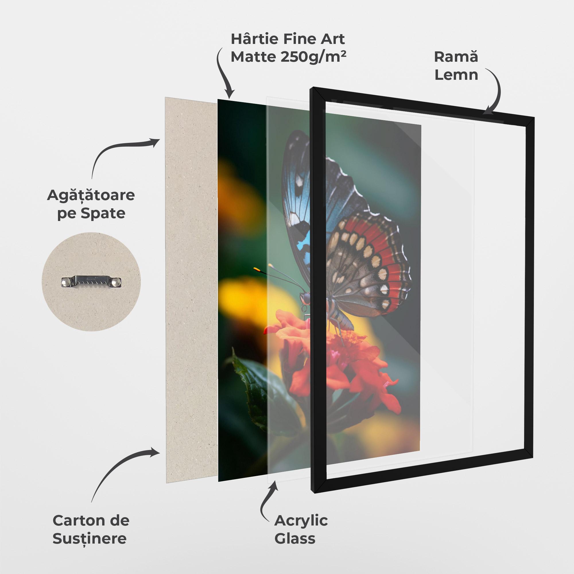 Poster Înrămat Blue Red Butterfly mockup 1