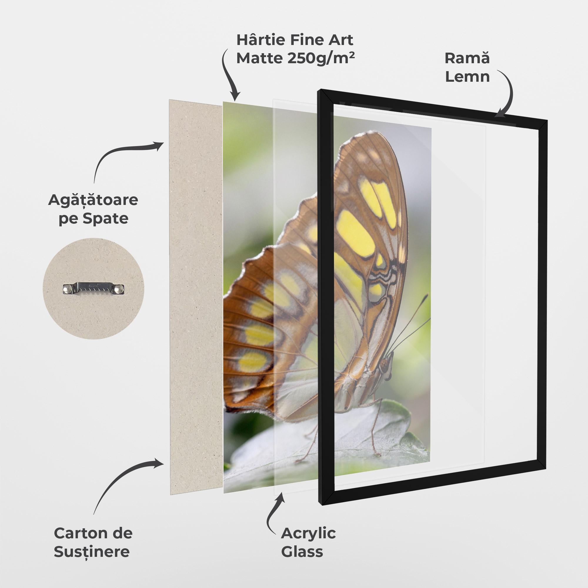 Poster Înrămat Brown Yellow Butterfly mockup 1