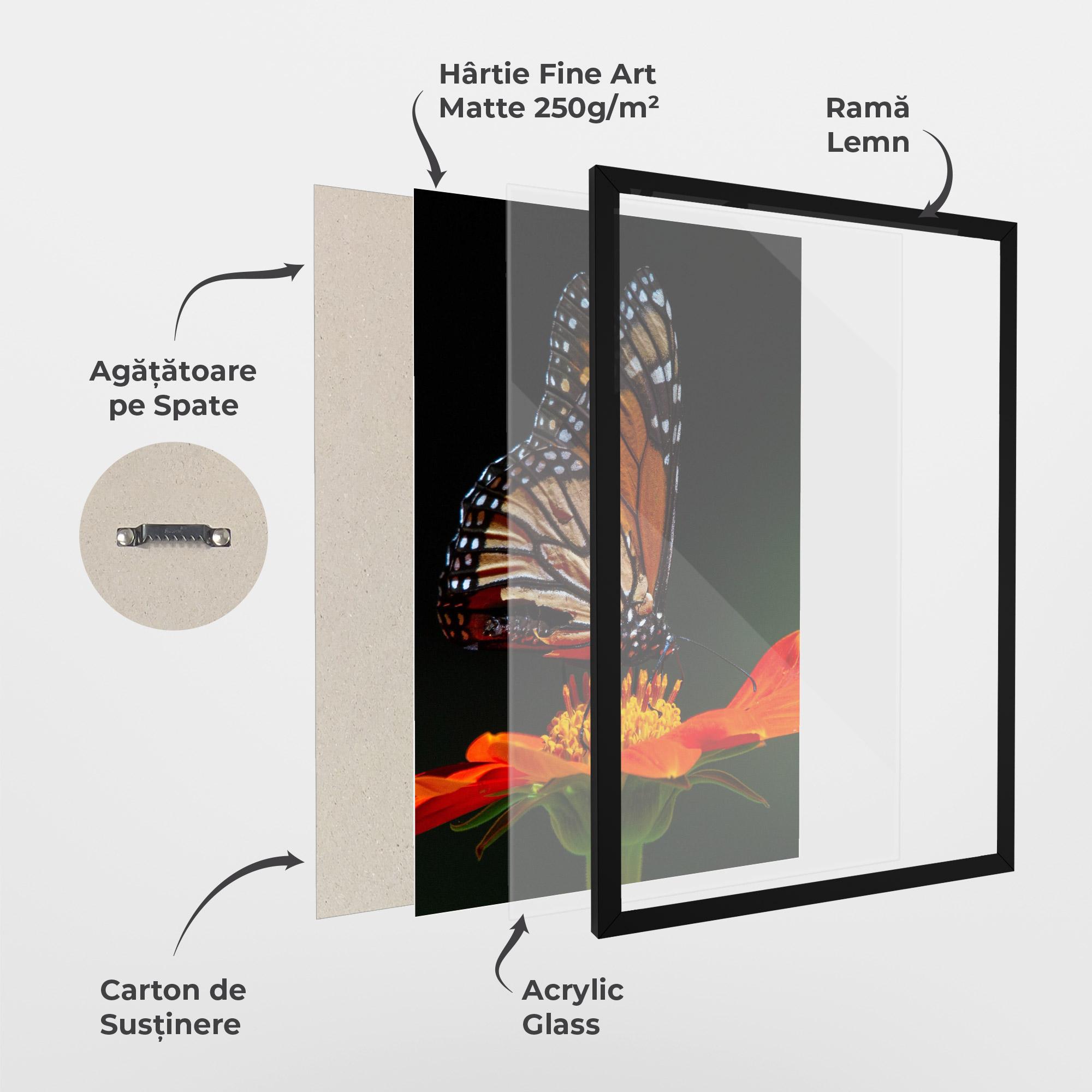 Poster Înrămat Dark Orange Butterfy mockup 1
