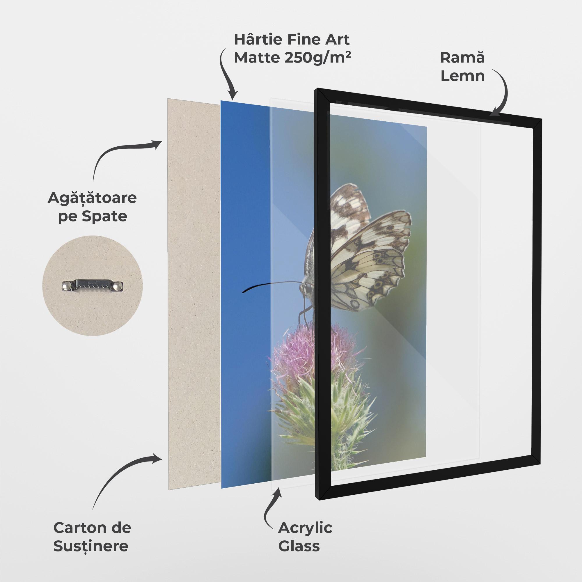 Poster Înrămat Grey White Butterfly mockup 1