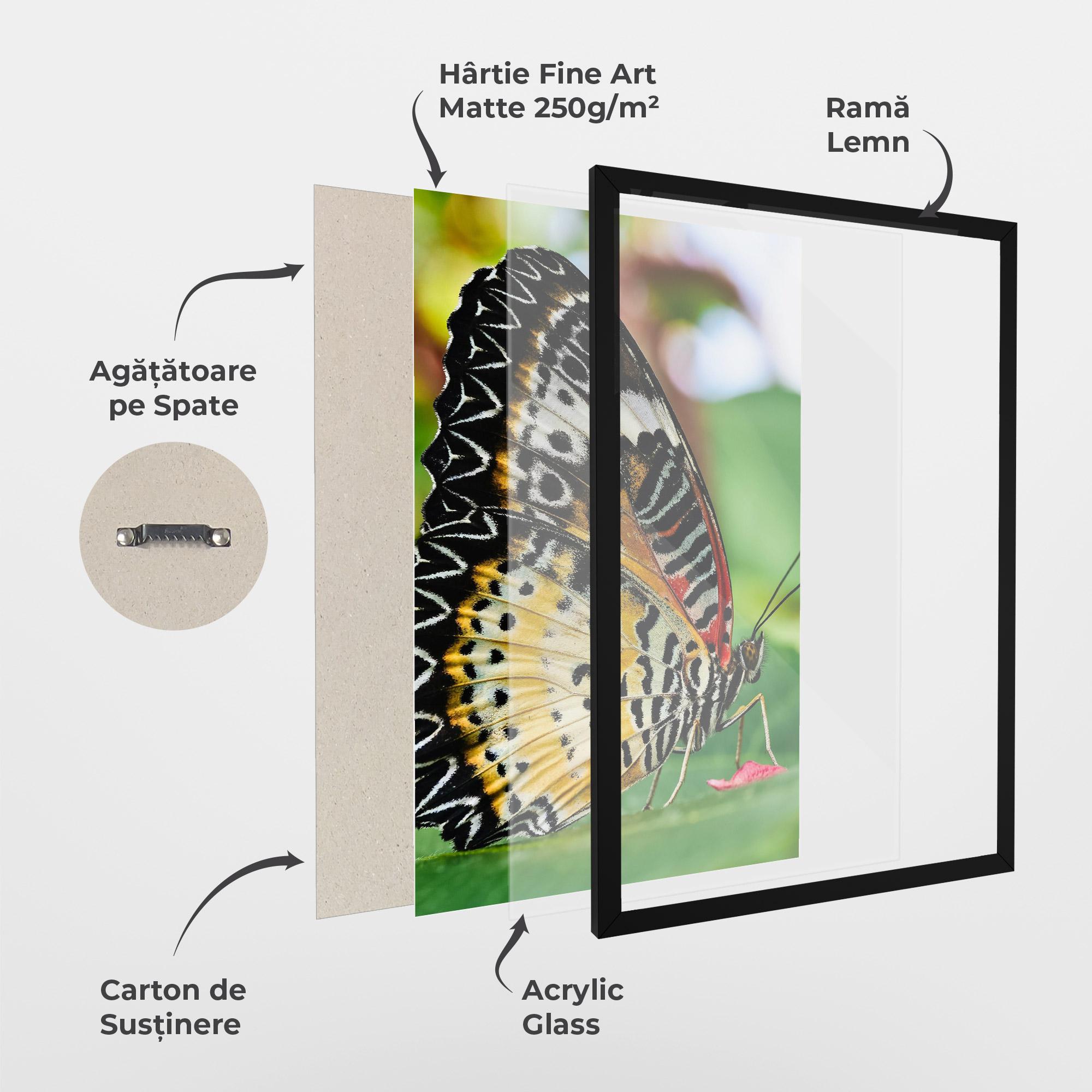 Poster Înrămat Pretty Colorful Butterfly mockup 1