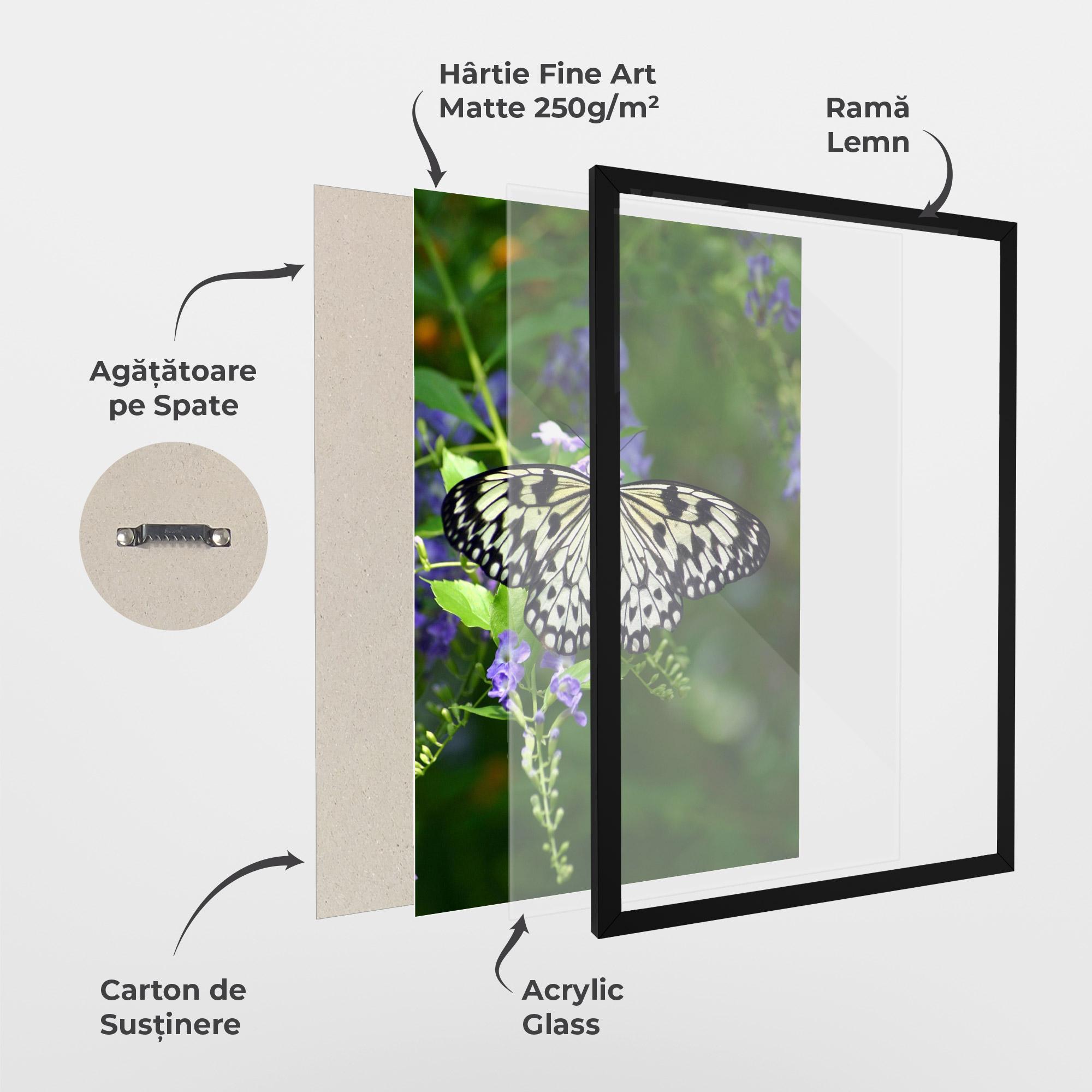 Poster Înrămat Pretty White Butterfly mockup 1