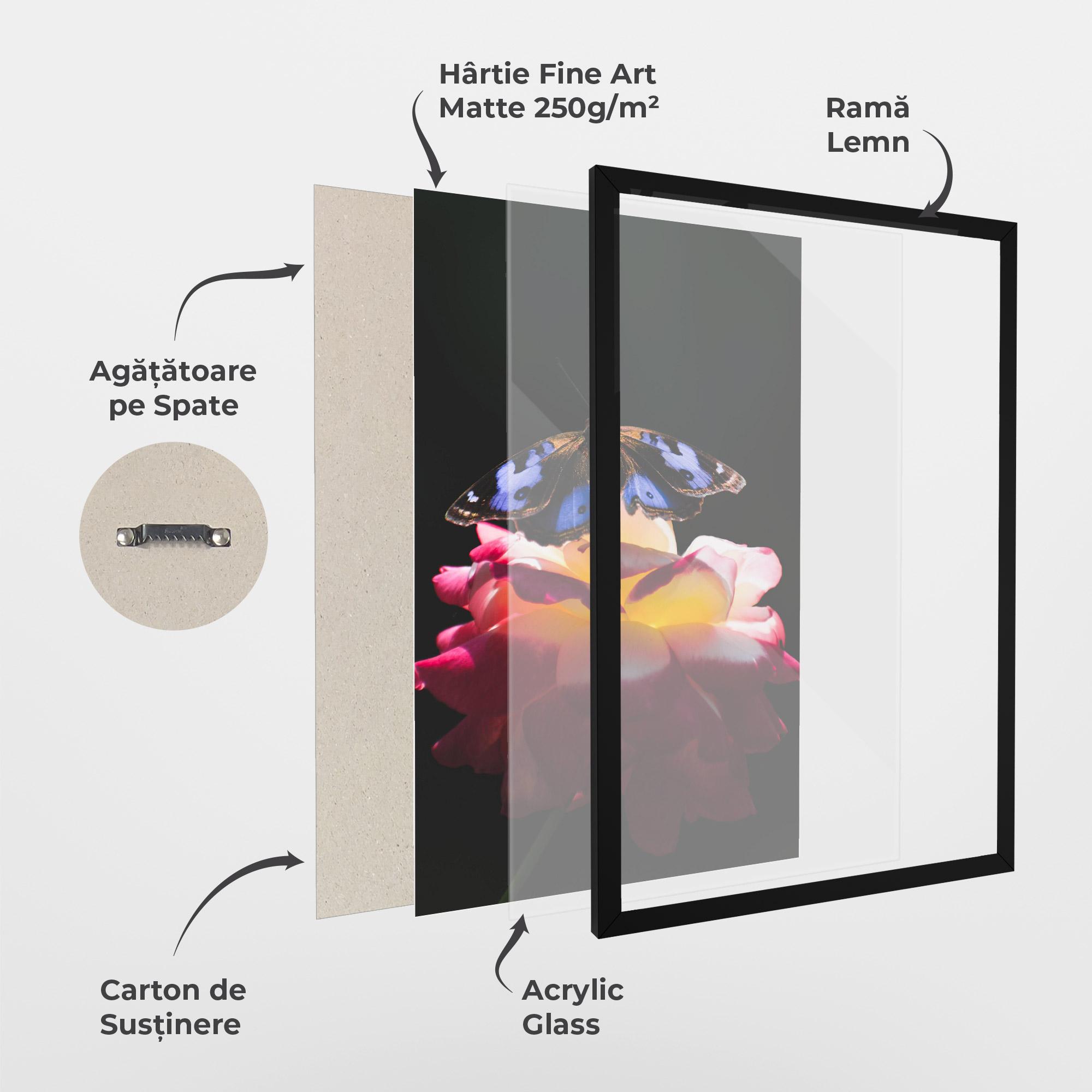 Poster Înrămat Rose Butterfly mockup 1