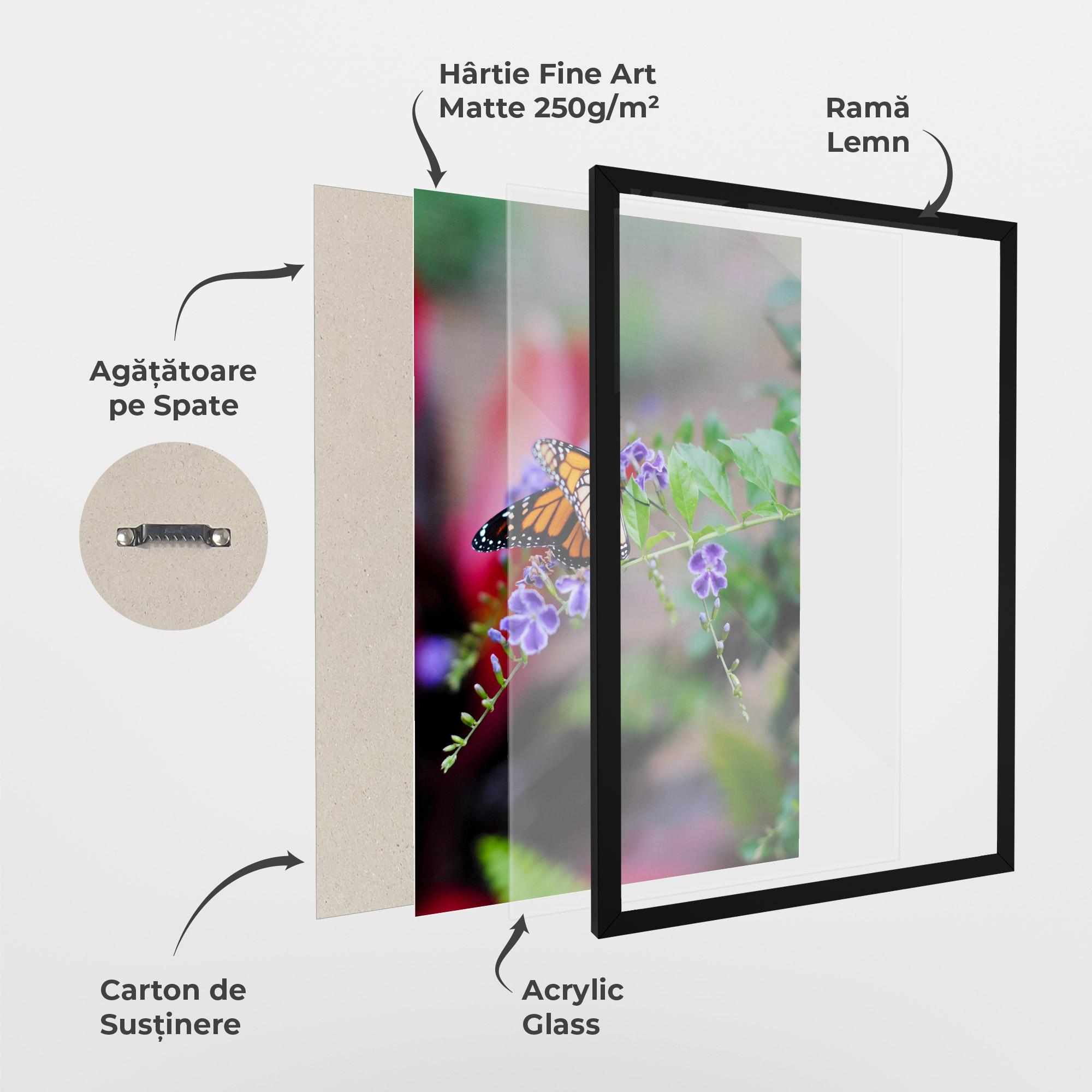 Poster Înrămat Strong Orange Butterfly mockup 1