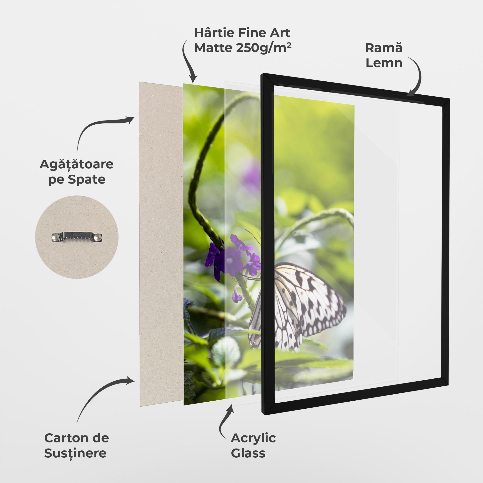 Poster Înrămat White Black Butterfly mockup 1