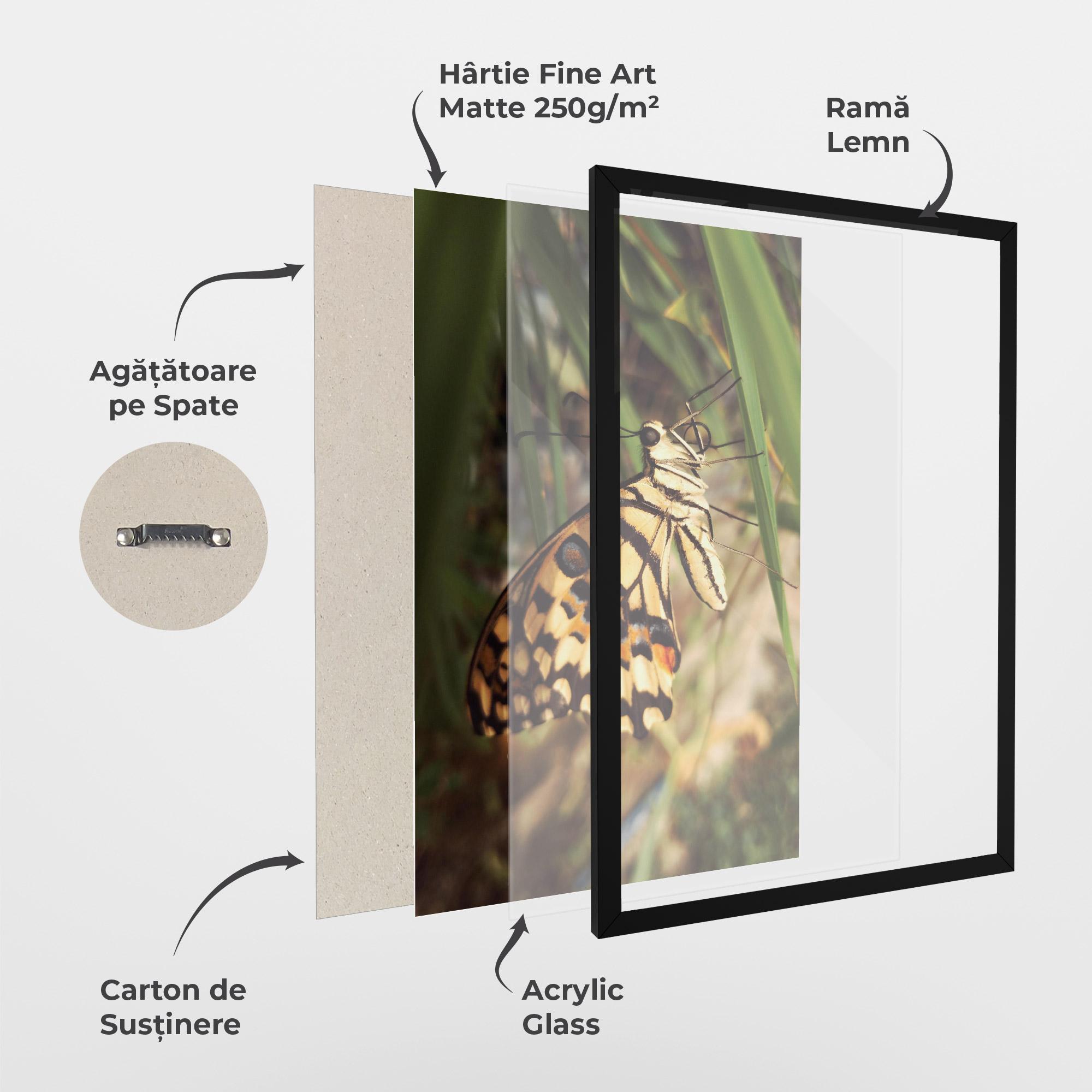 Poster Înrămat Wild Brown Butterfly mockup 1