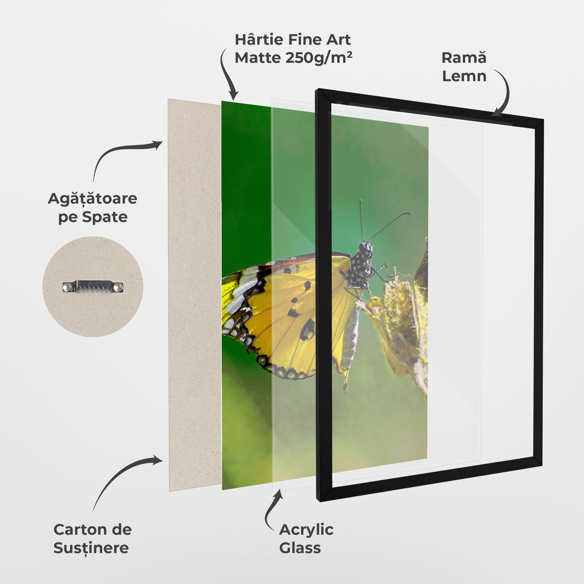 Poster Înrămat Yellow White Butterfly mockup 1