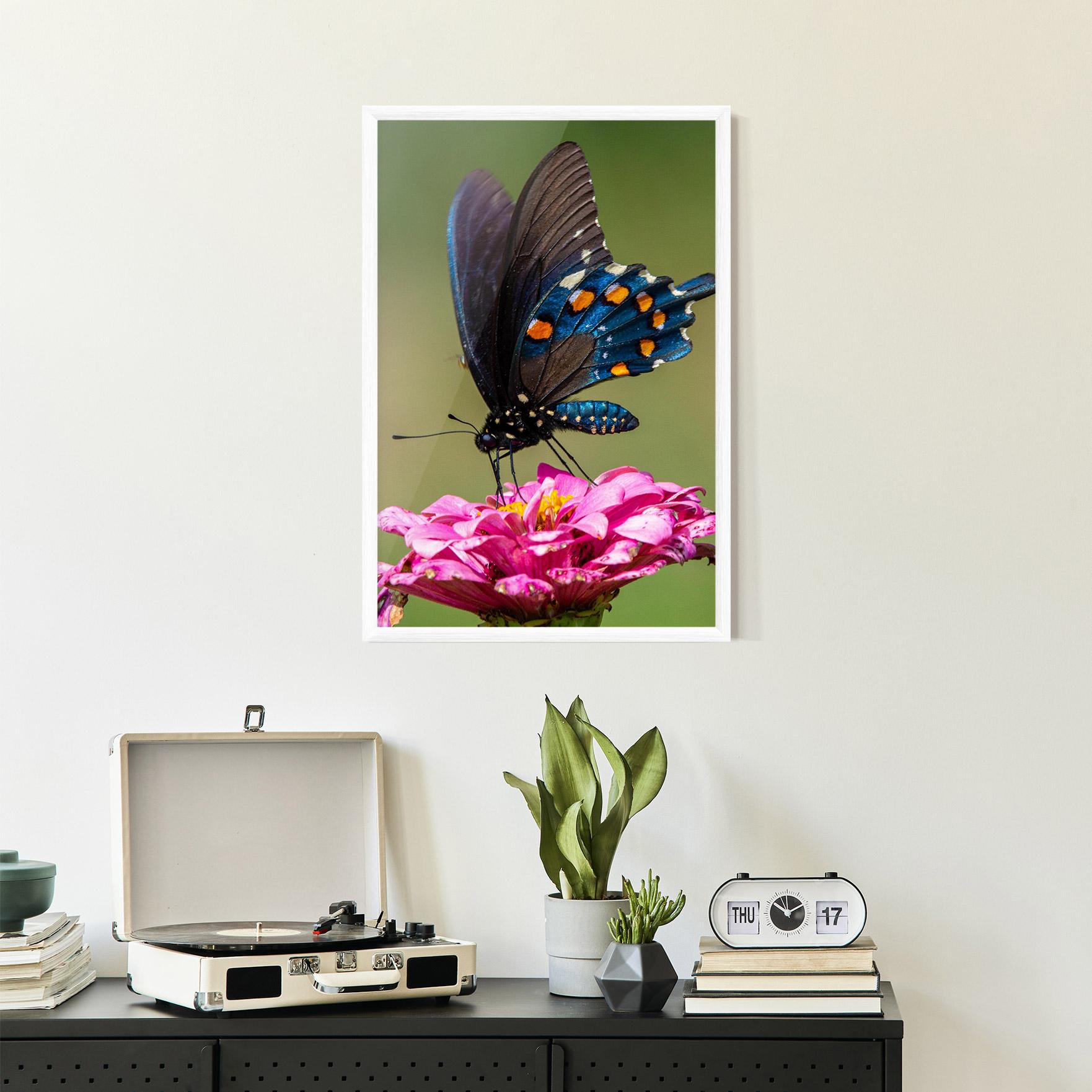 Poster Înrămat Blue Grey Butterfly mockup 2