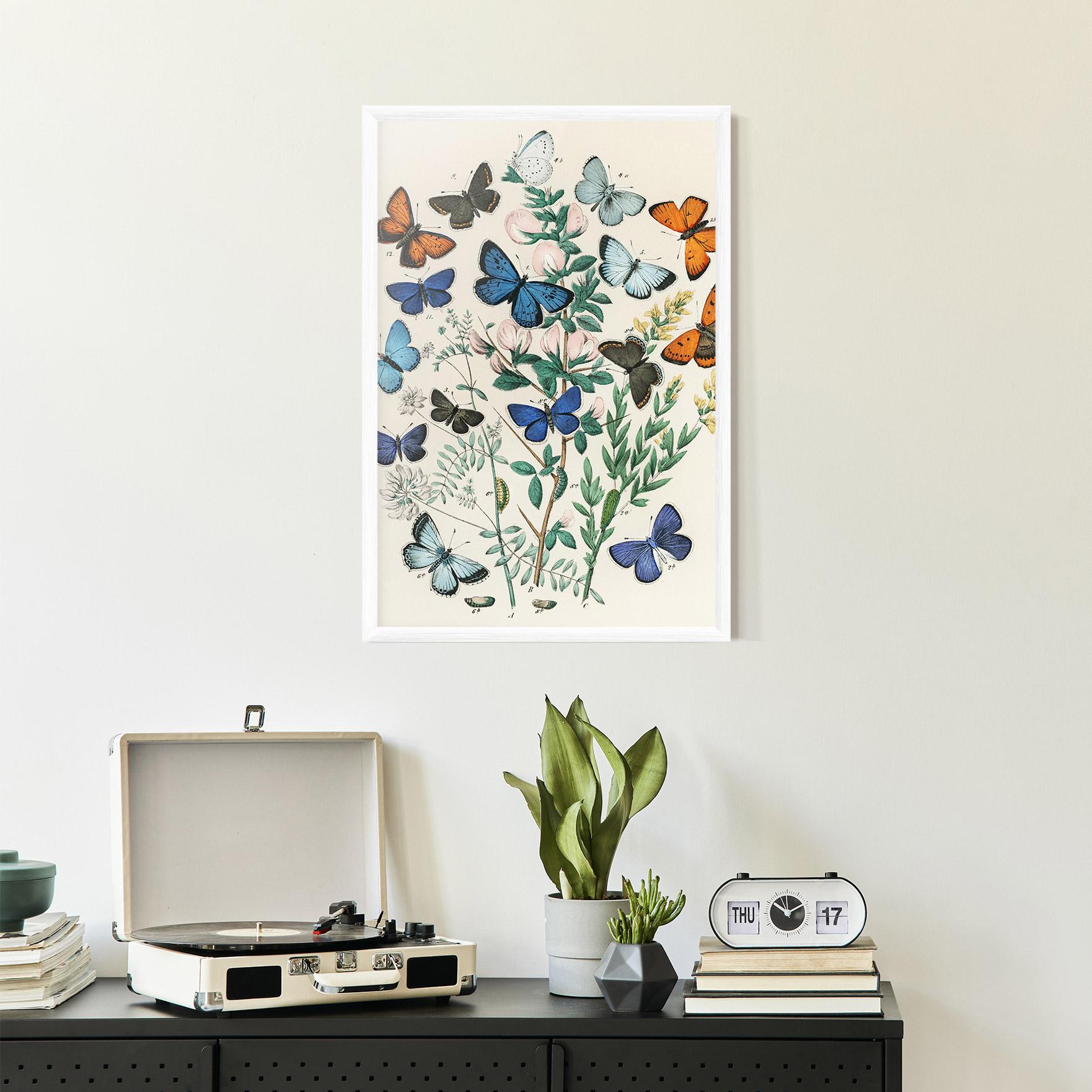 Poster Înrămat Blue Orange Butterflies mockup 2