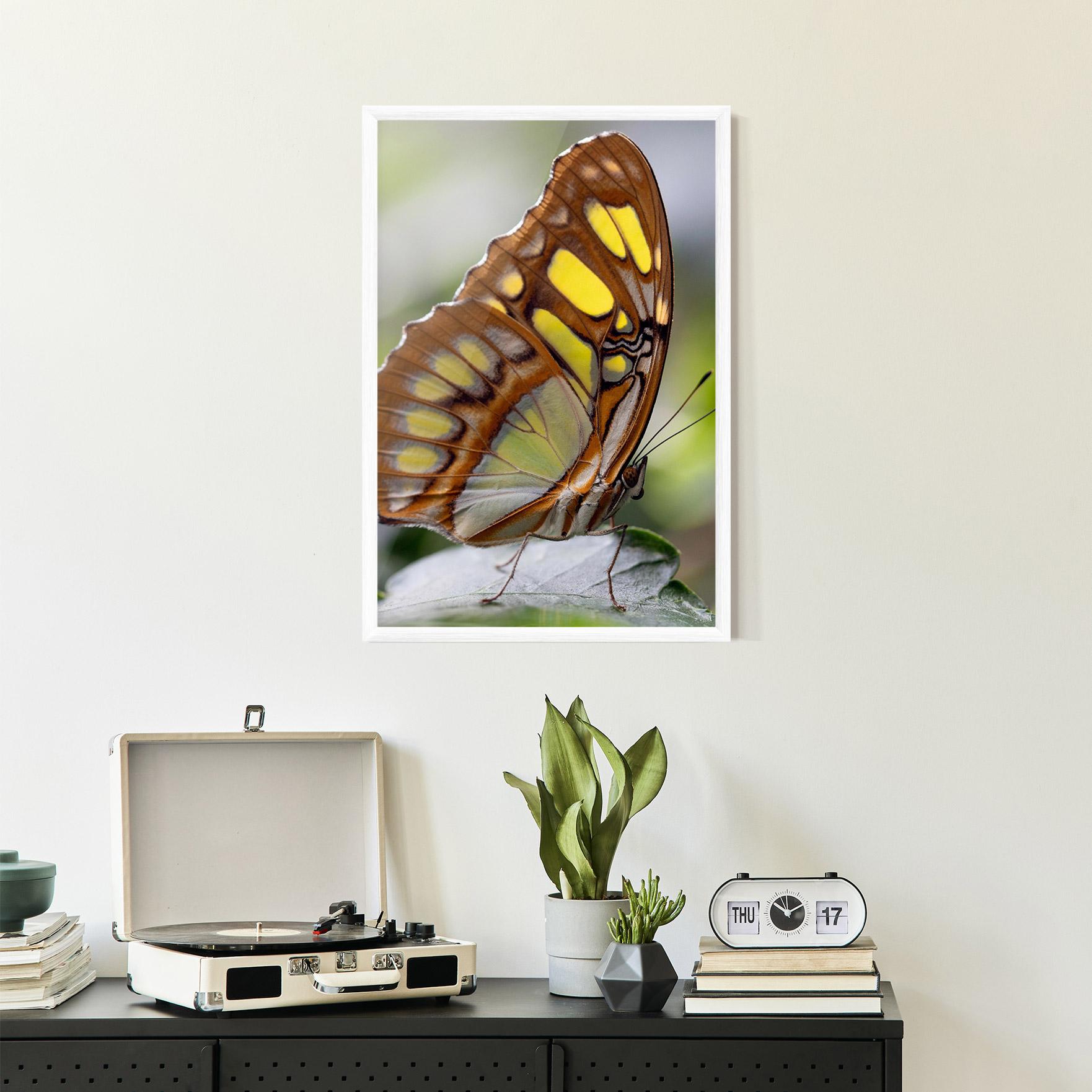 Poster Înrămat Brown Yellow Butterfly mockup 2