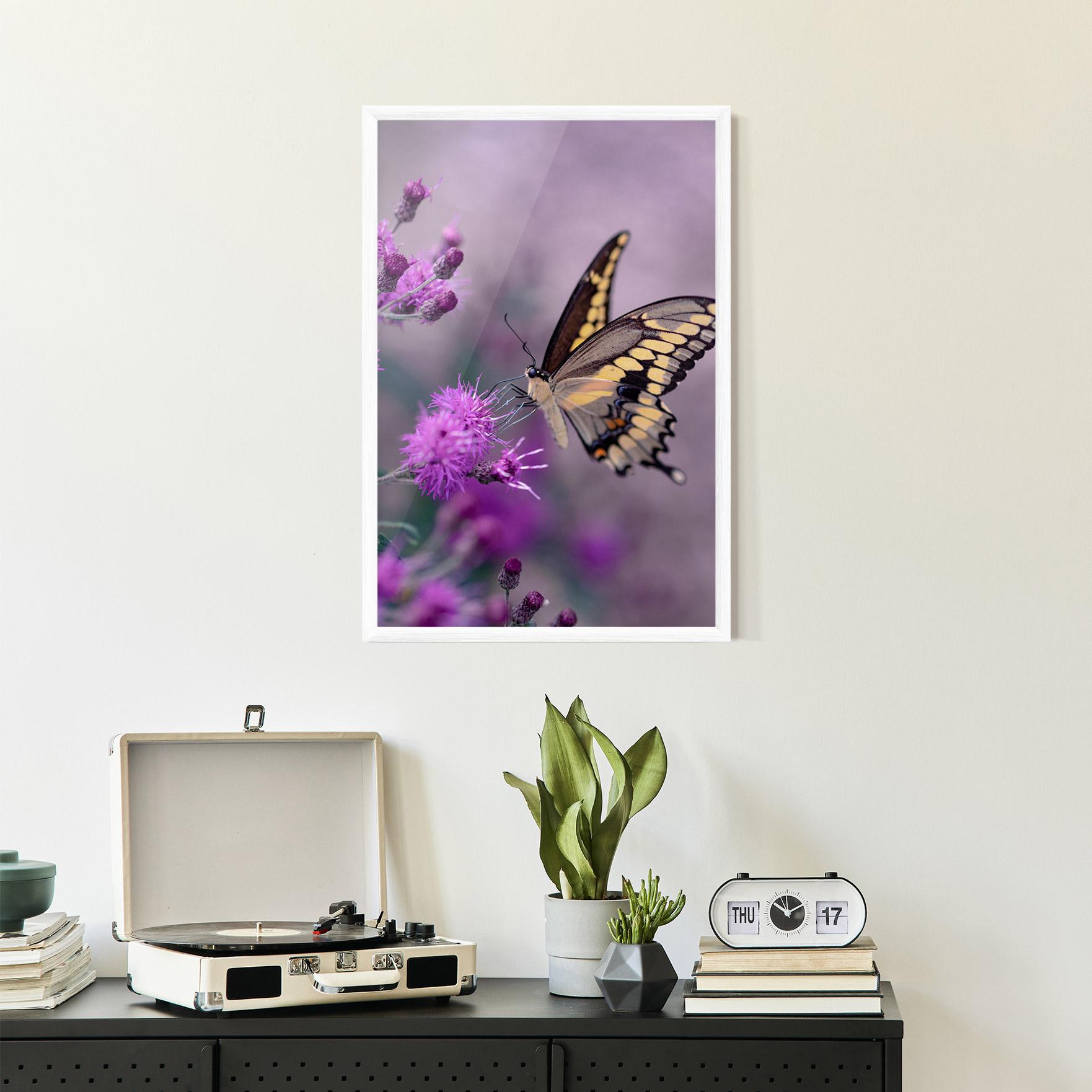 Poster Înrămat Cream Black Butterfly mockup 2