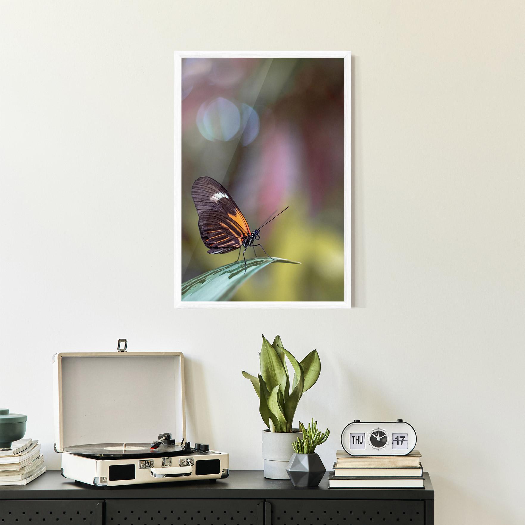 Poster Înrămat Dark Purple Butterfly mockup 2