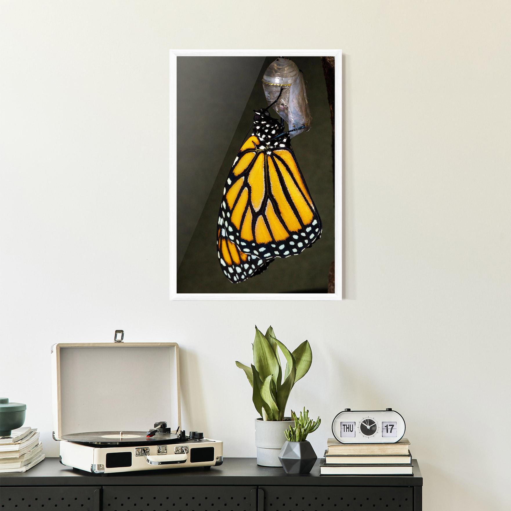 Poster Înrămat Dark Yellow Butterfly mockup 2