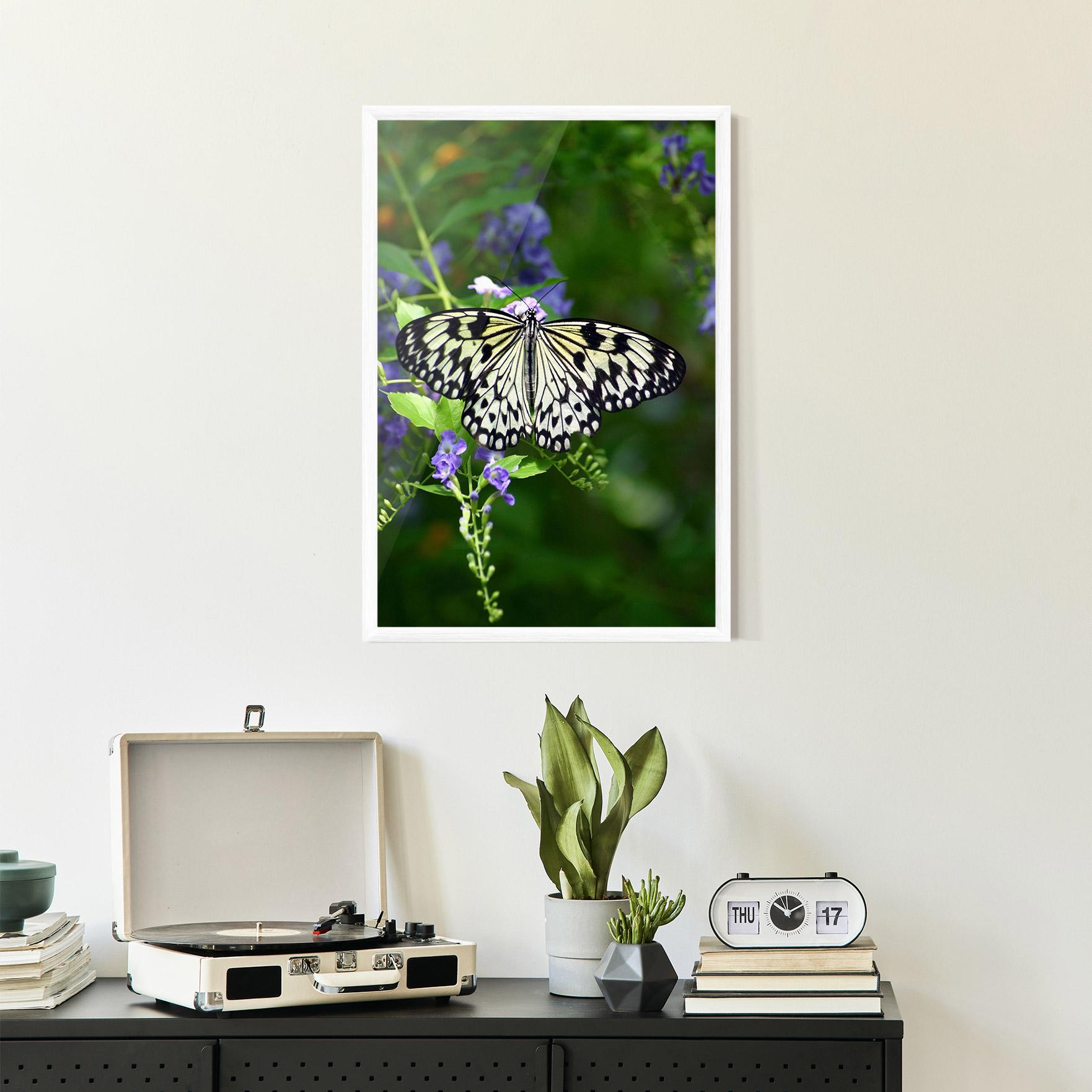 Poster Înrămat Pretty White Butterfly mockup 2