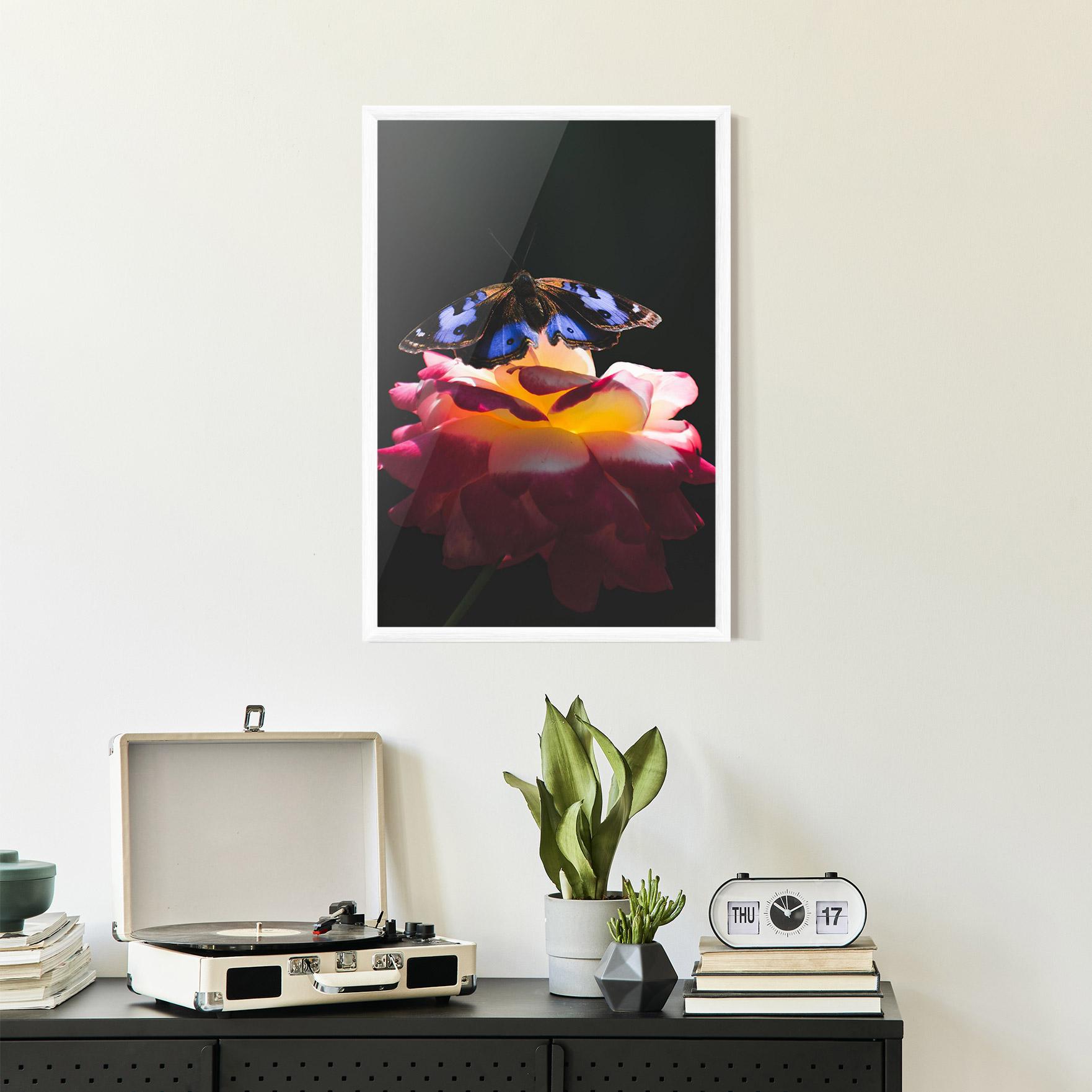 Poster Înrămat Rose Butterfly mockup 2