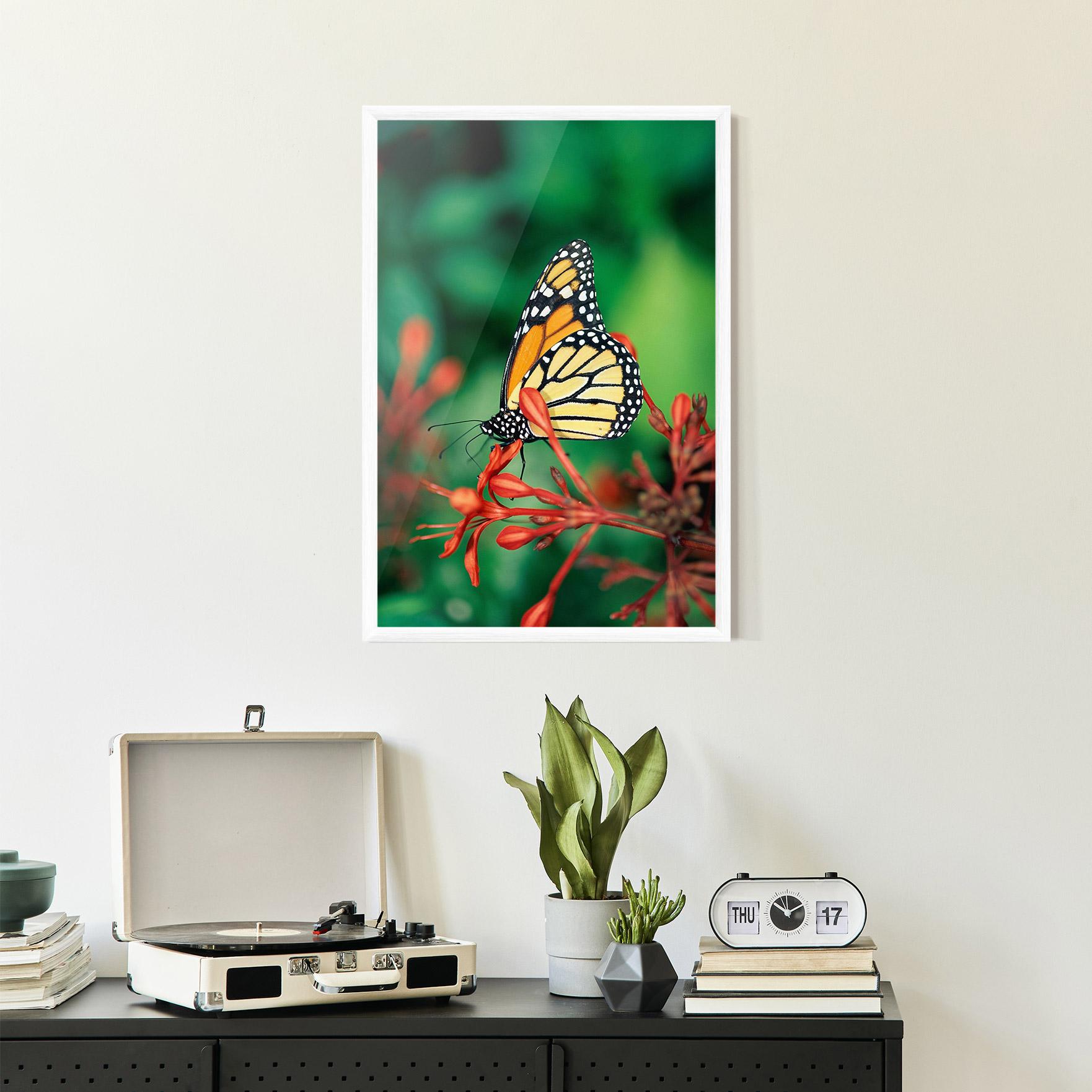 Poster Înrămat Small Orange Butterfly mockup 2