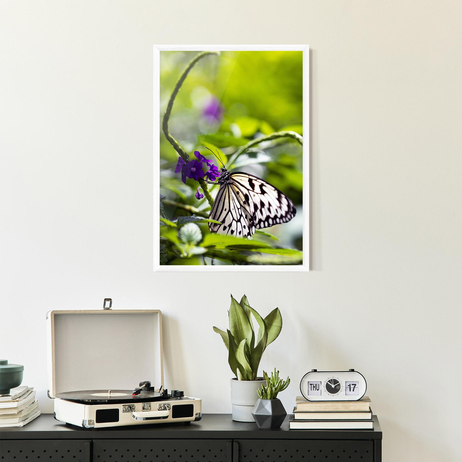 Poster Înrămat White Black Butterfly mockup 2