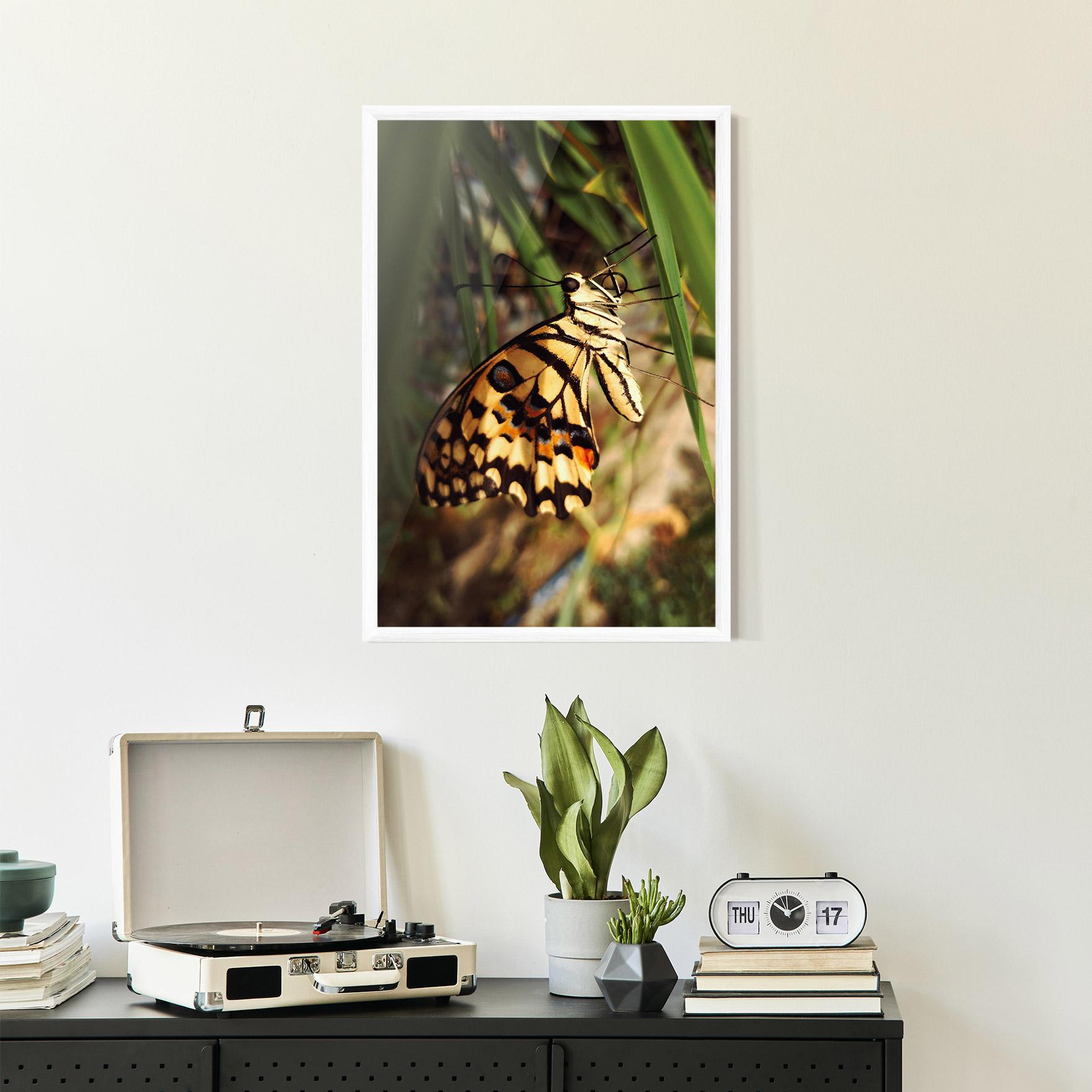 Poster Înrămat Wild Brown Butterfly mockup 2