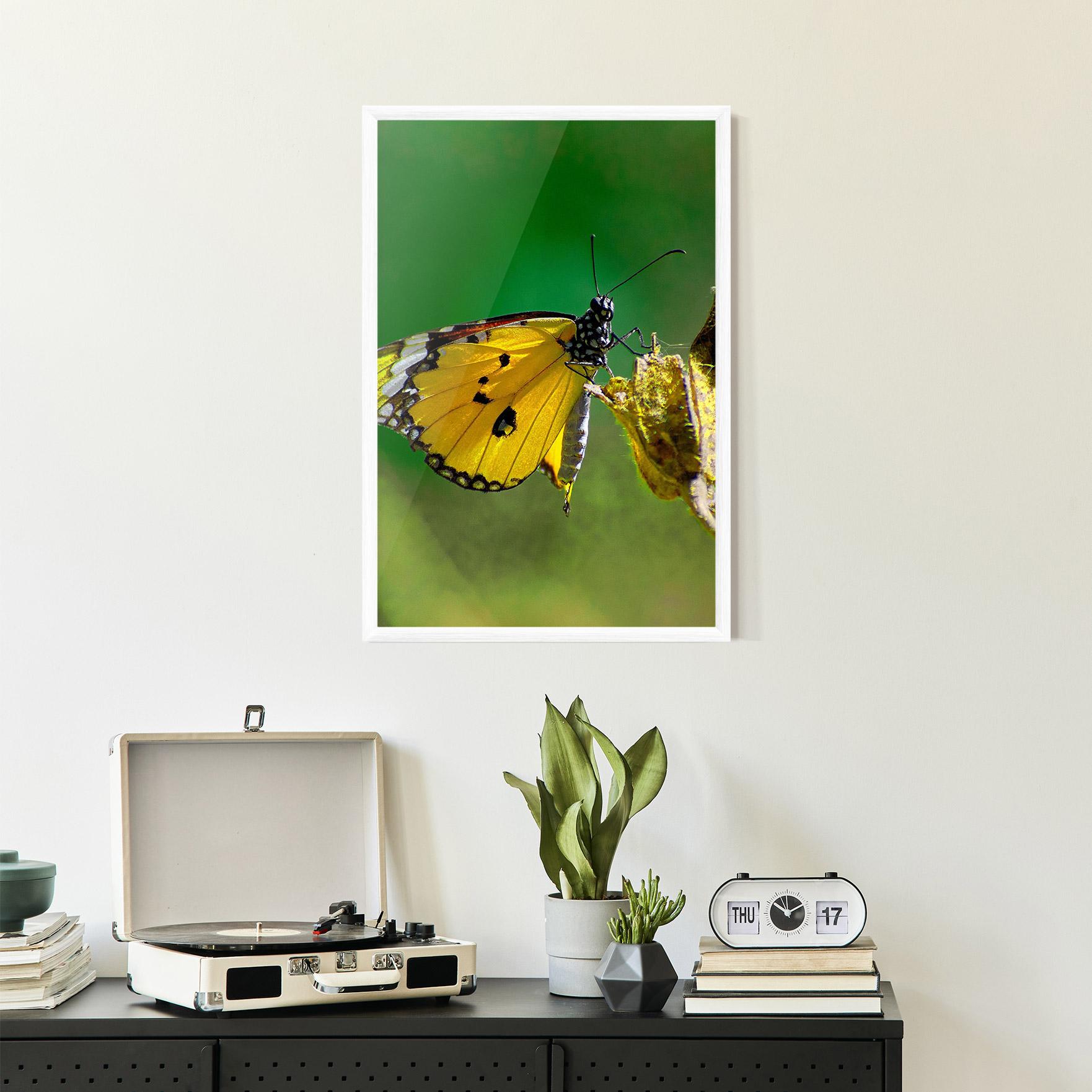Poster Înrămat Yellow White Butterfly mockup 2