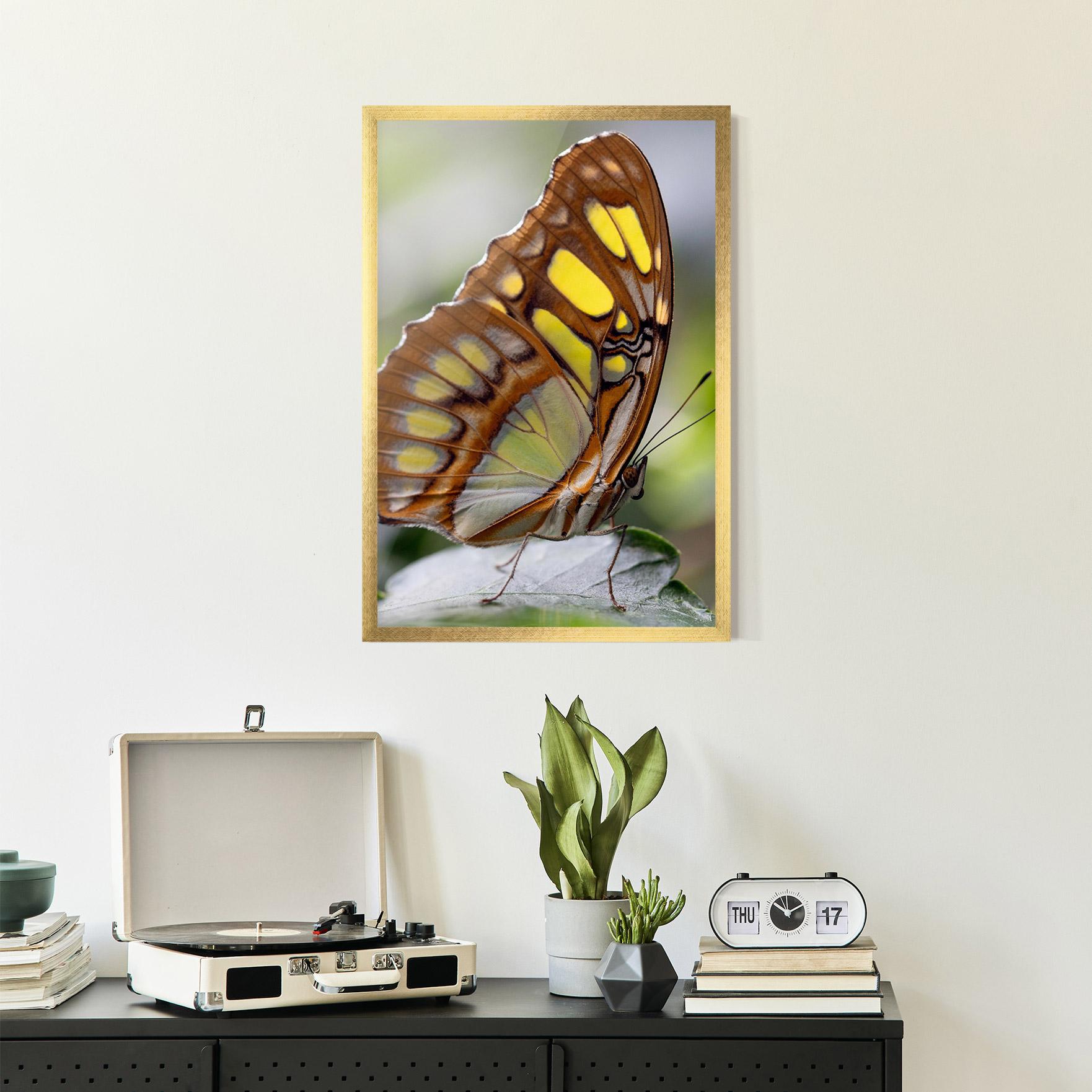 Poster Înrămat Brown Yellow Butterfly mockup 2