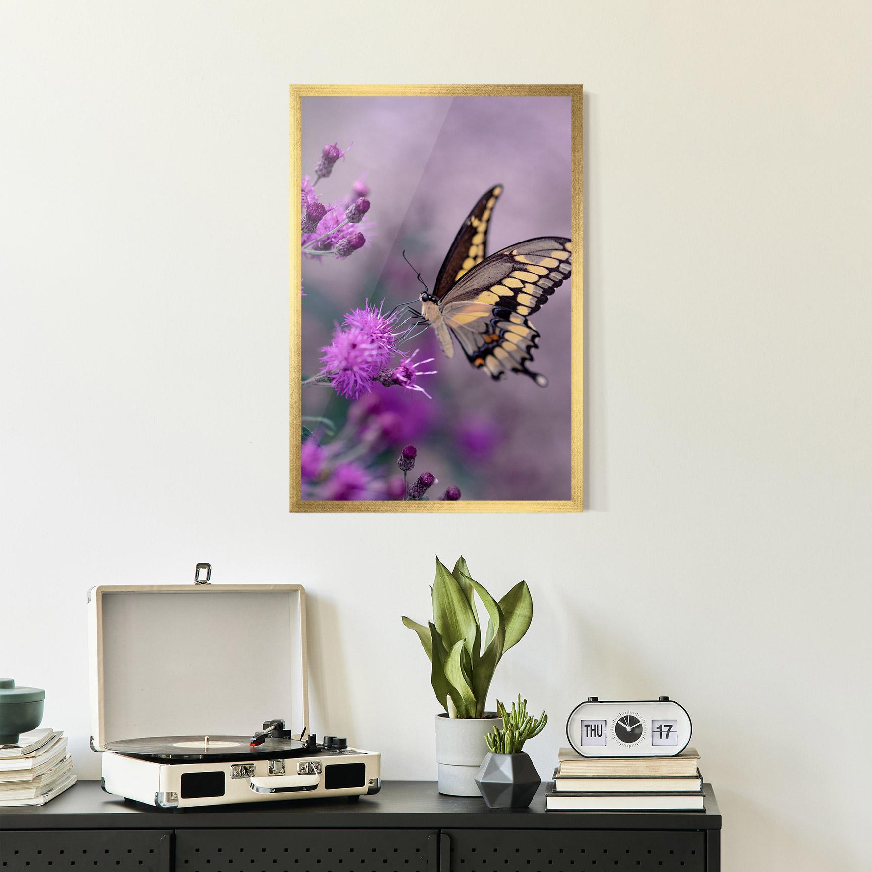 Poster Înrămat Cream Black Butterfly mockup 2