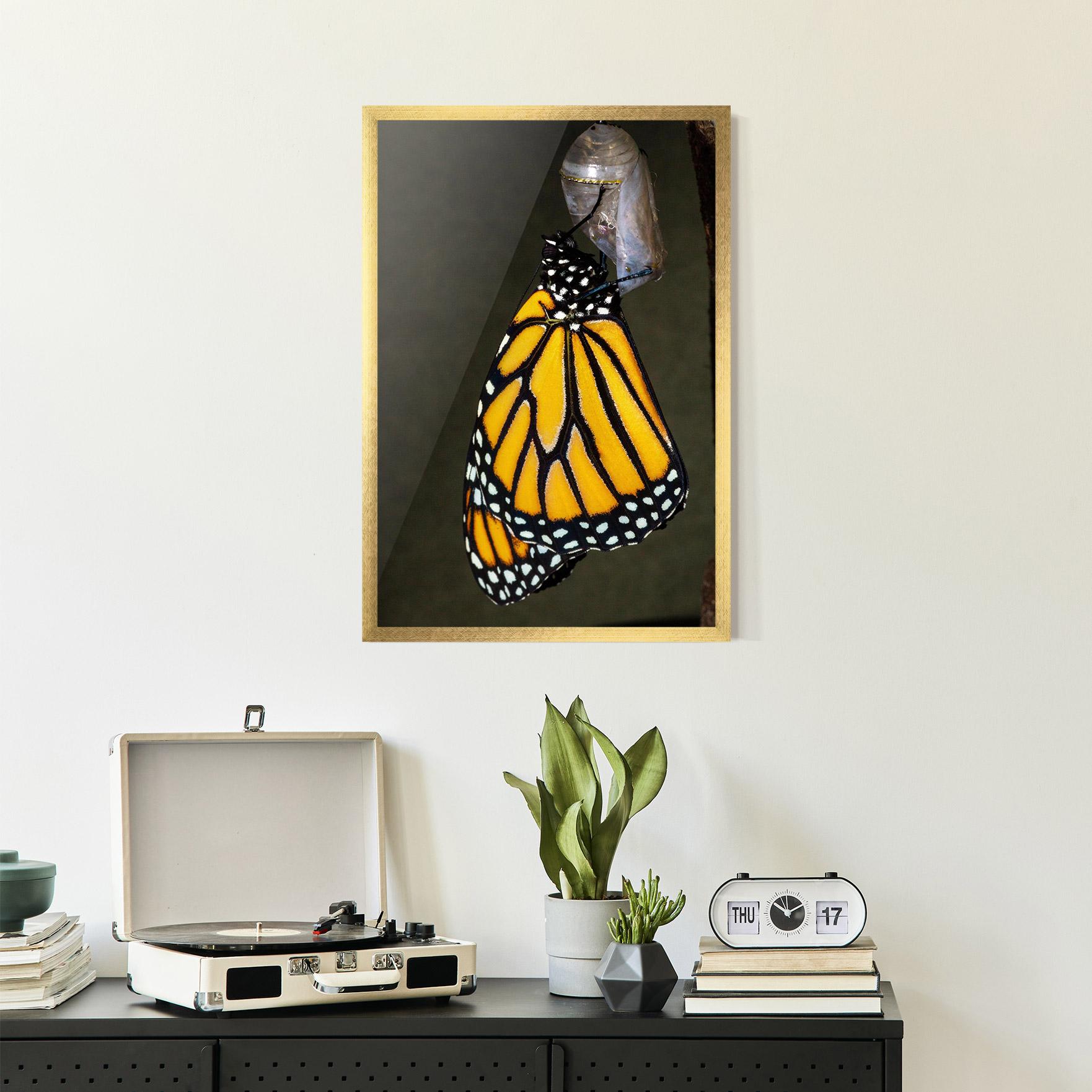 Poster Înrămat Dark Yellow Butterfly mockup 2