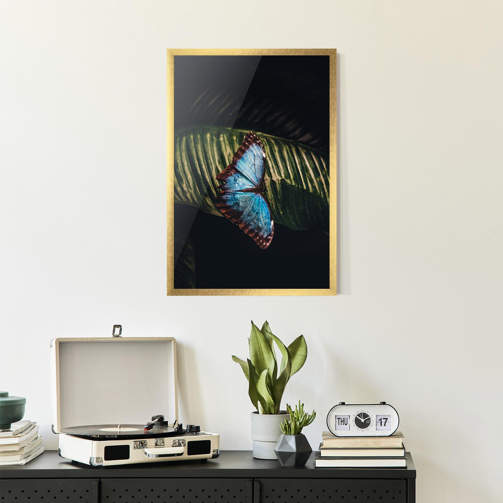 Poster Înrămat Light Blue Butterfly mockup 2