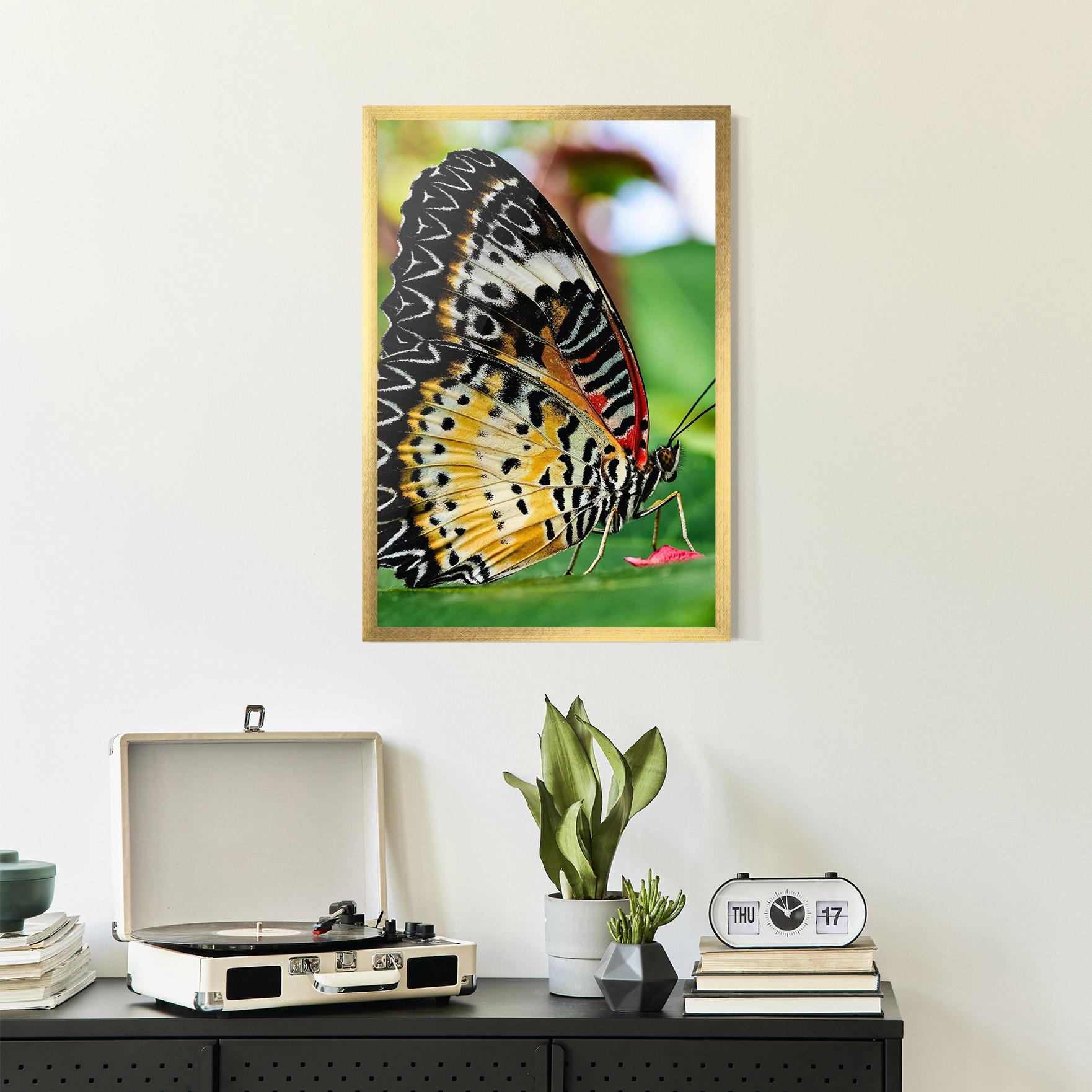 Poster Înrămat Pretty Colorful Butterfly mockup 2