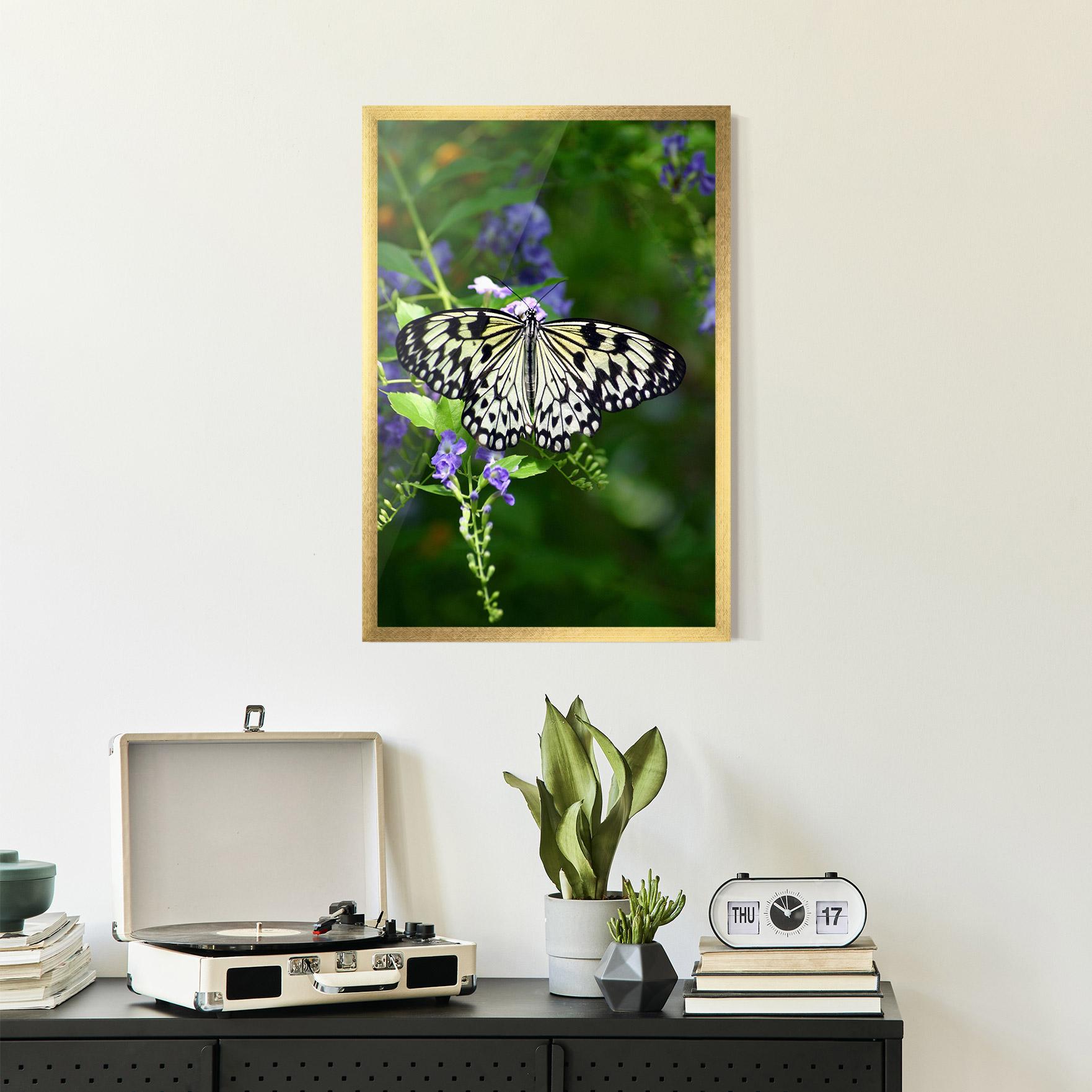 Poster Înrămat Pretty White Butterfly mockup 2