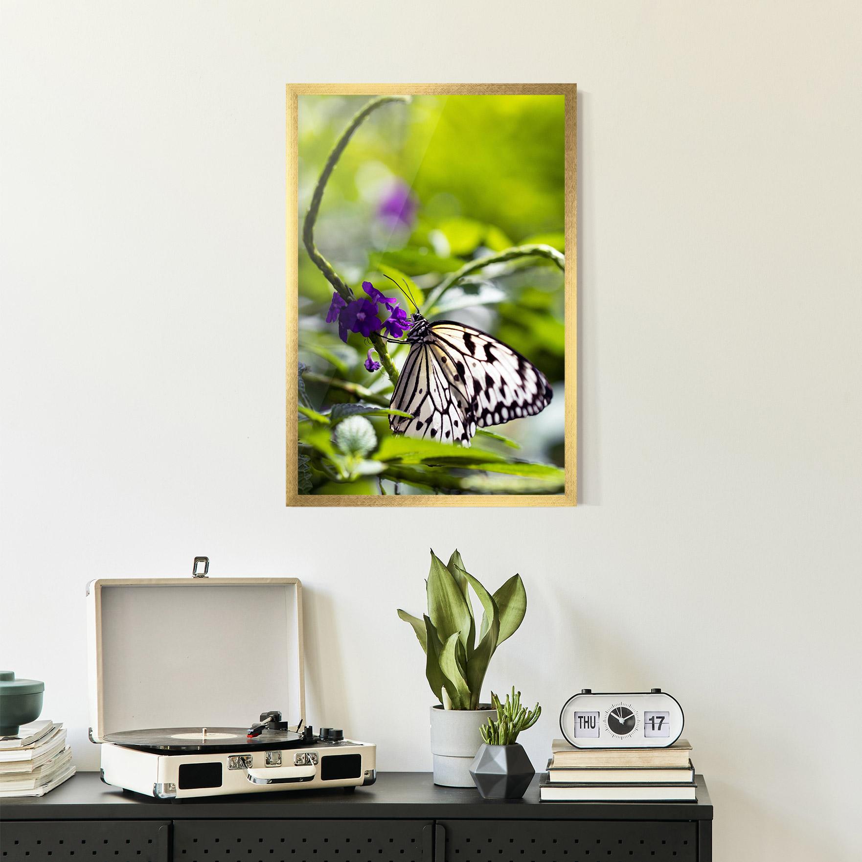 Poster Înrămat White Black Butterfly mockup 2