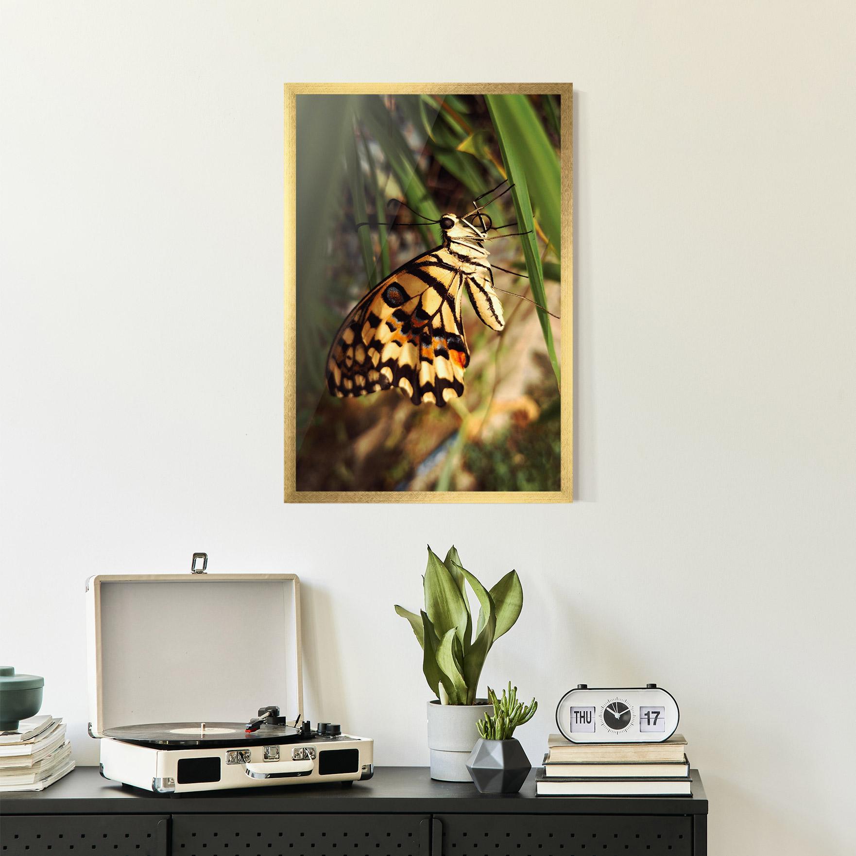 Poster Înrămat Wild Brown Butterfly mockup 2
