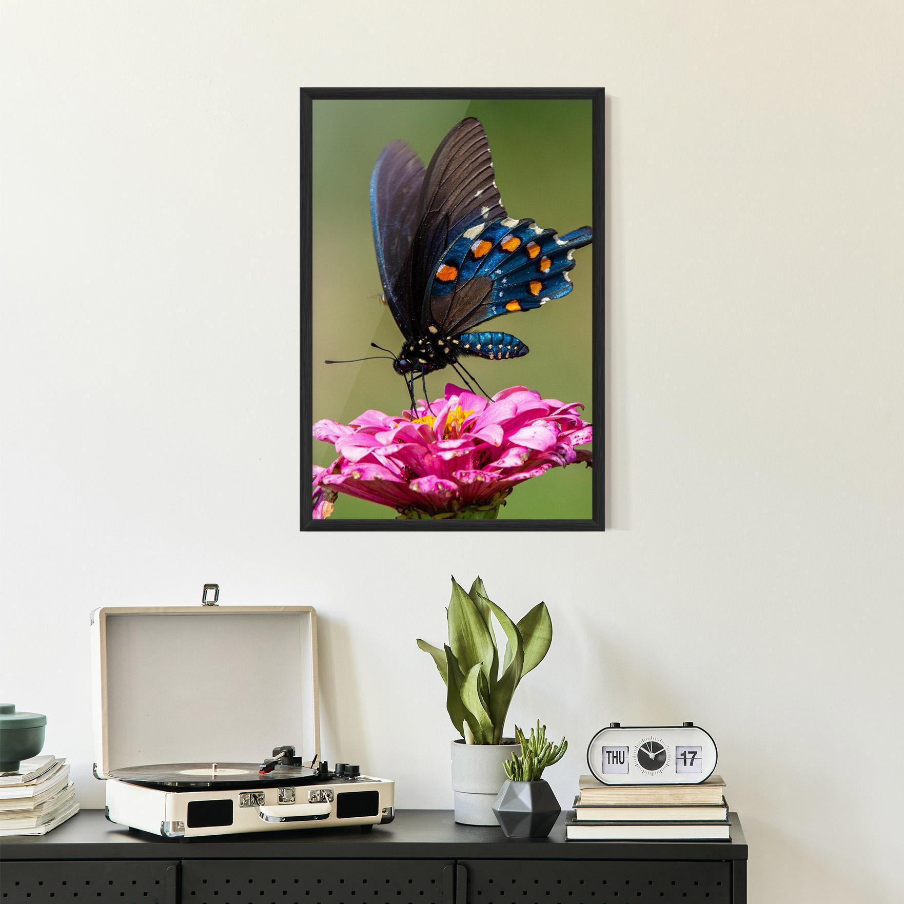 Poster Înrămat Blue Grey Butterfly mockup 2