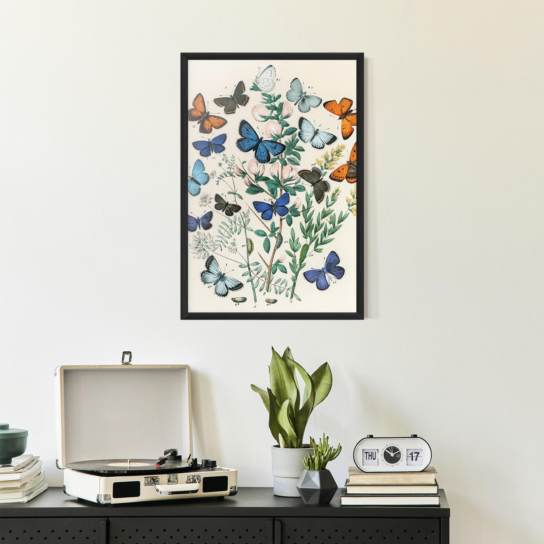 Poster Înrămat Blue Orange Butterflies mockup 2
