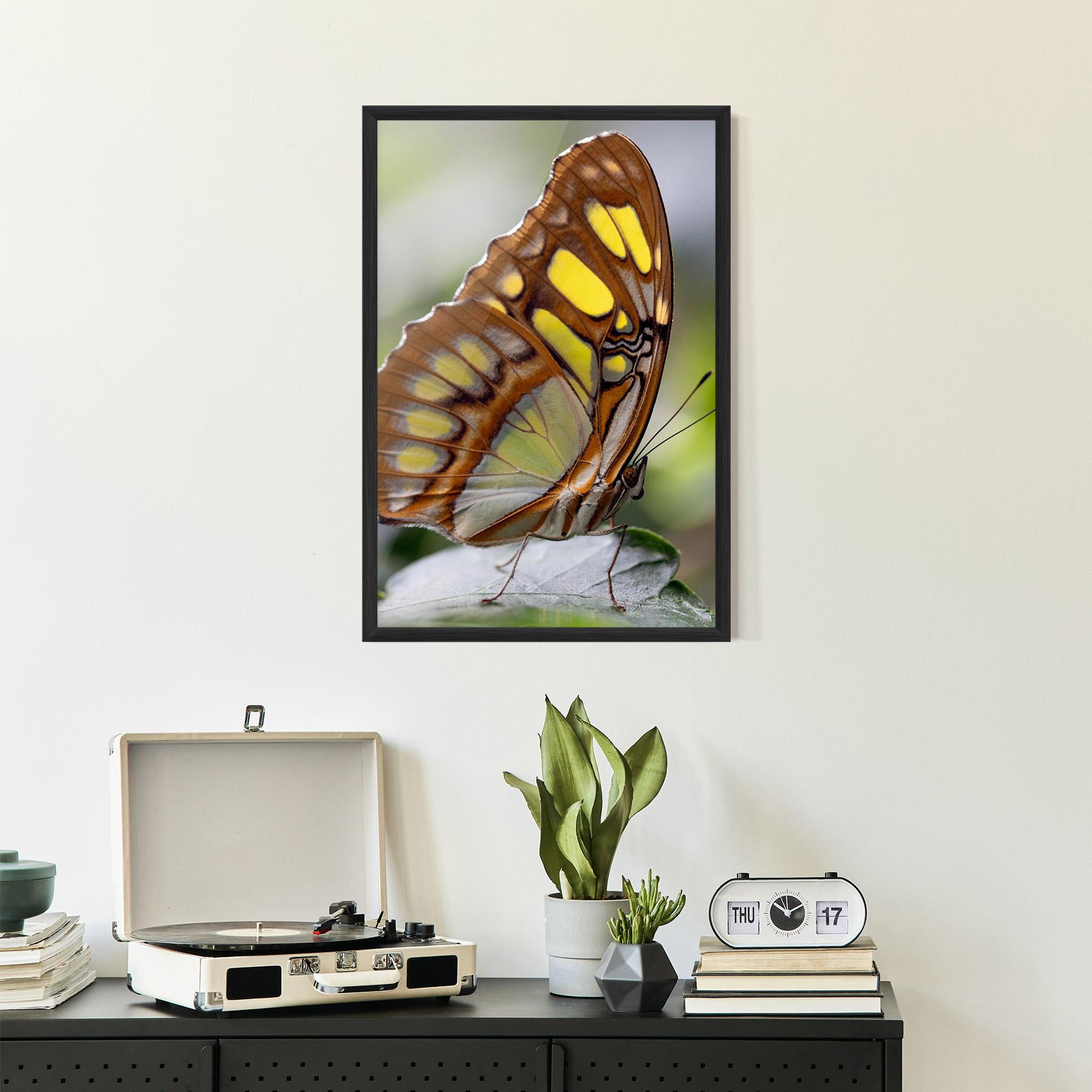 Poster Înrămat Brown Yellow Butterfly mockup 2