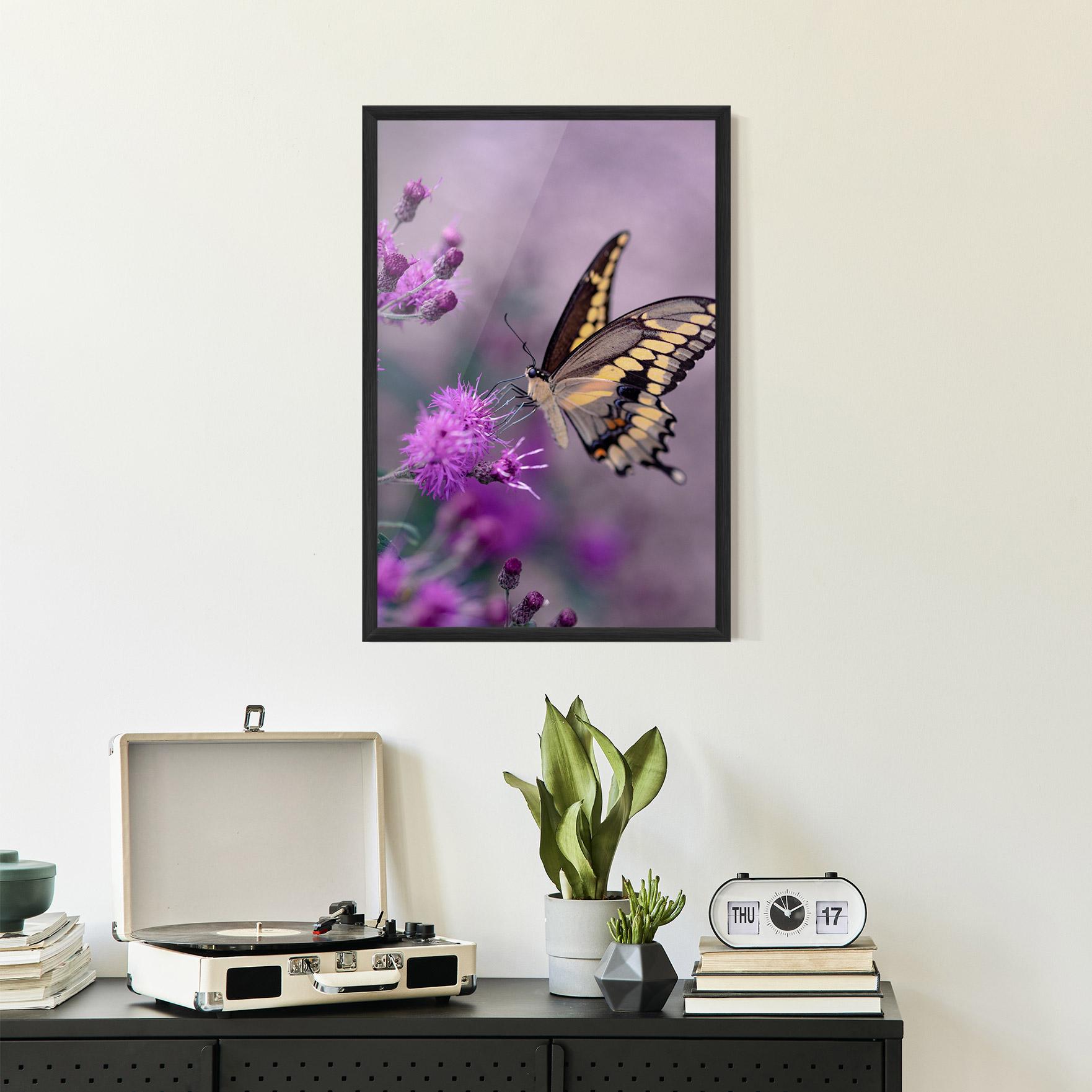 Poster Înrămat Cream Black Butterfly mockup 2