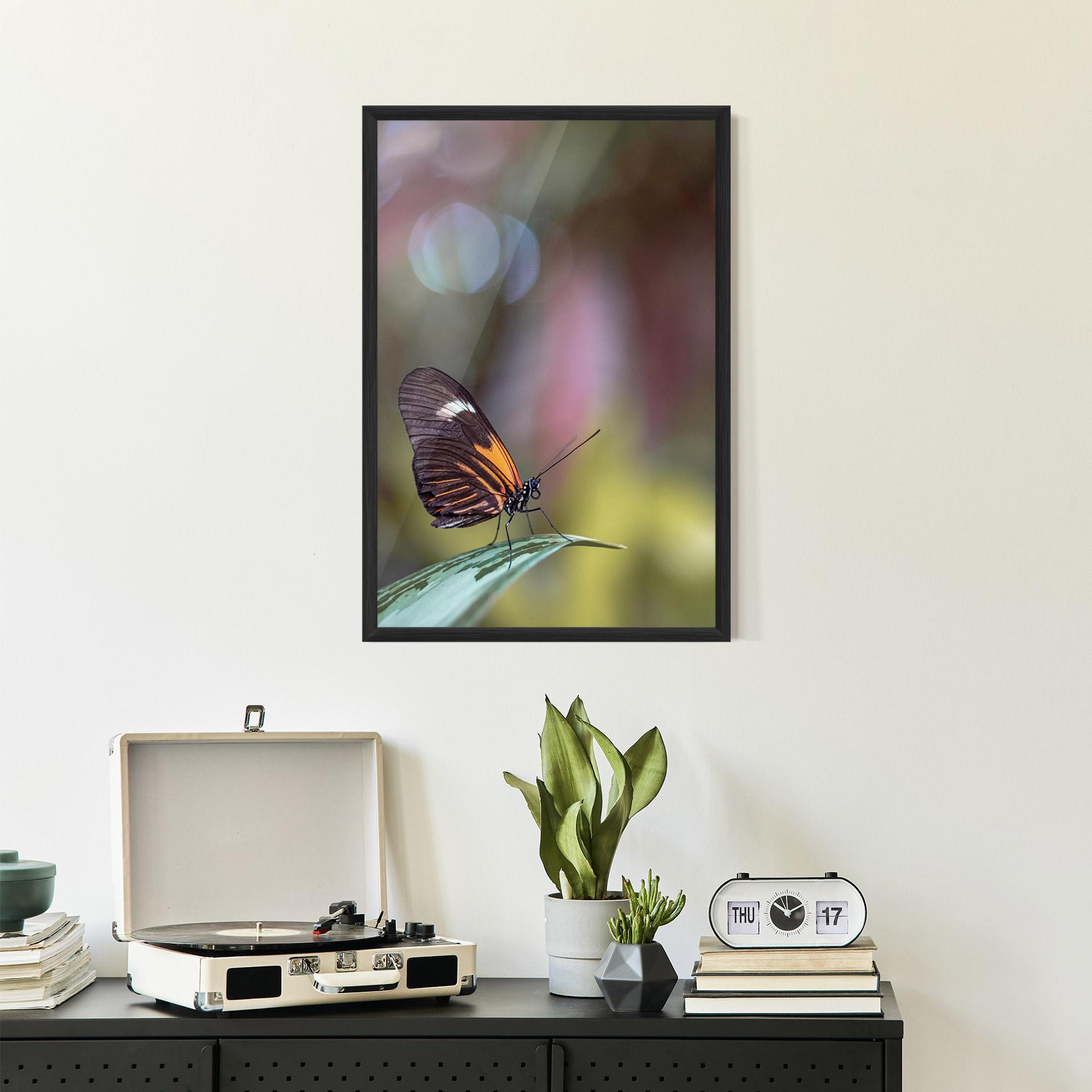 Poster Înrămat Dark Purple Butterfly mockup 2