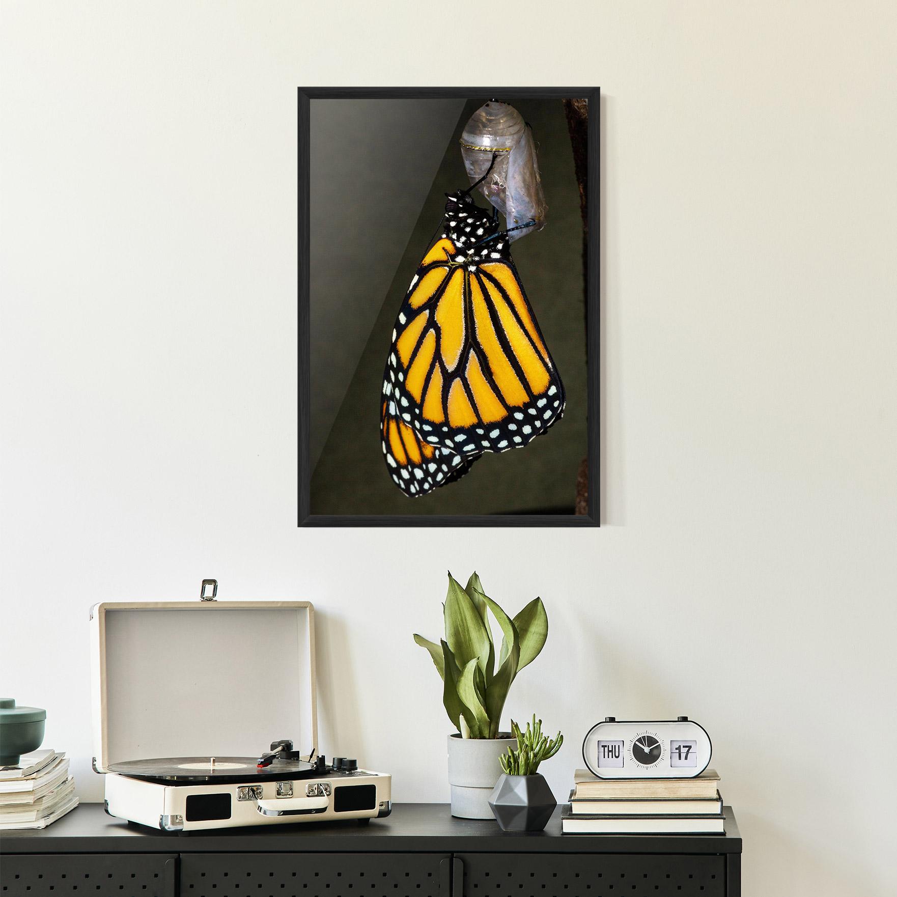 Poster Înrămat Dark Yellow Butterfly mockup 2