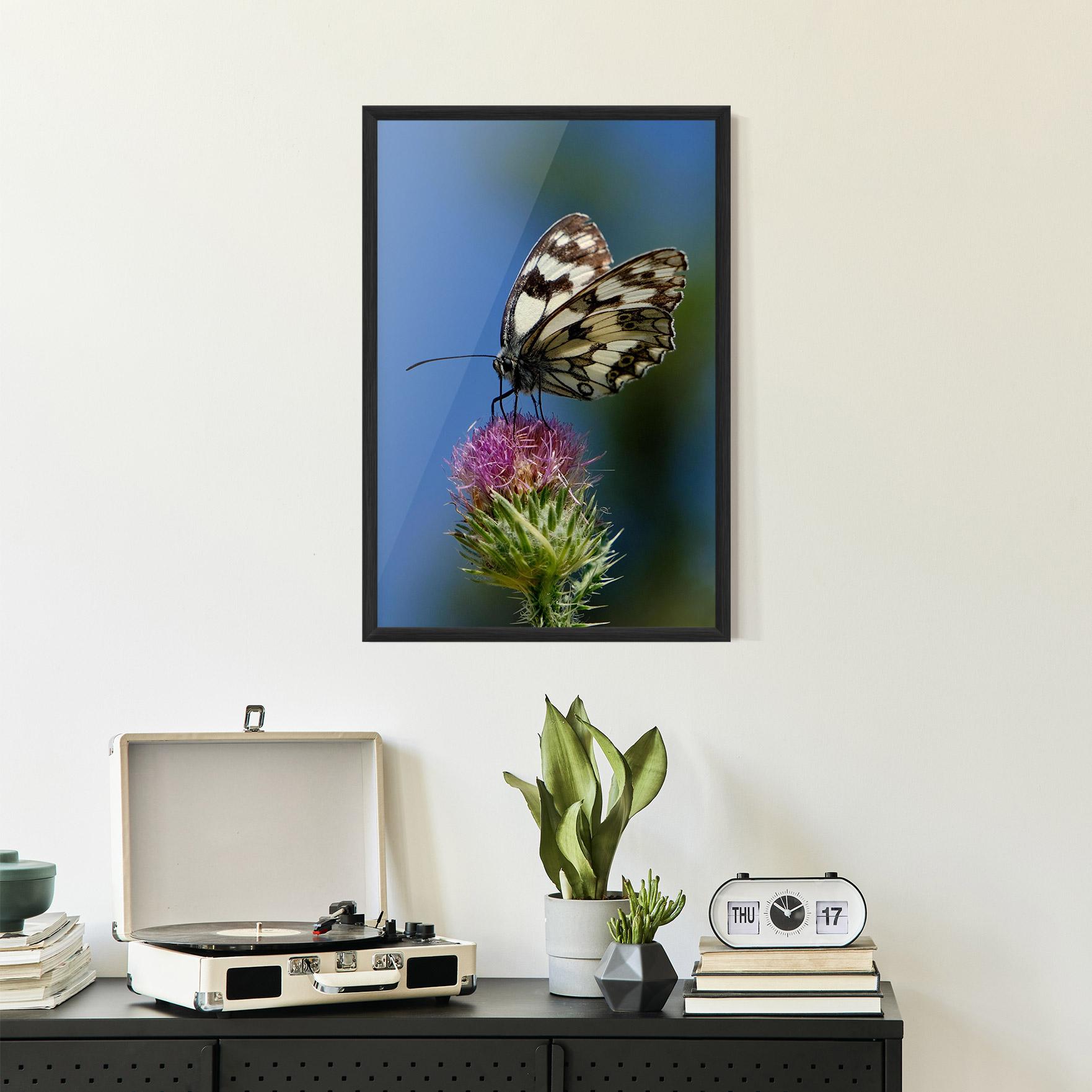 Poster Înrămat Grey White Butterfly mockup 2