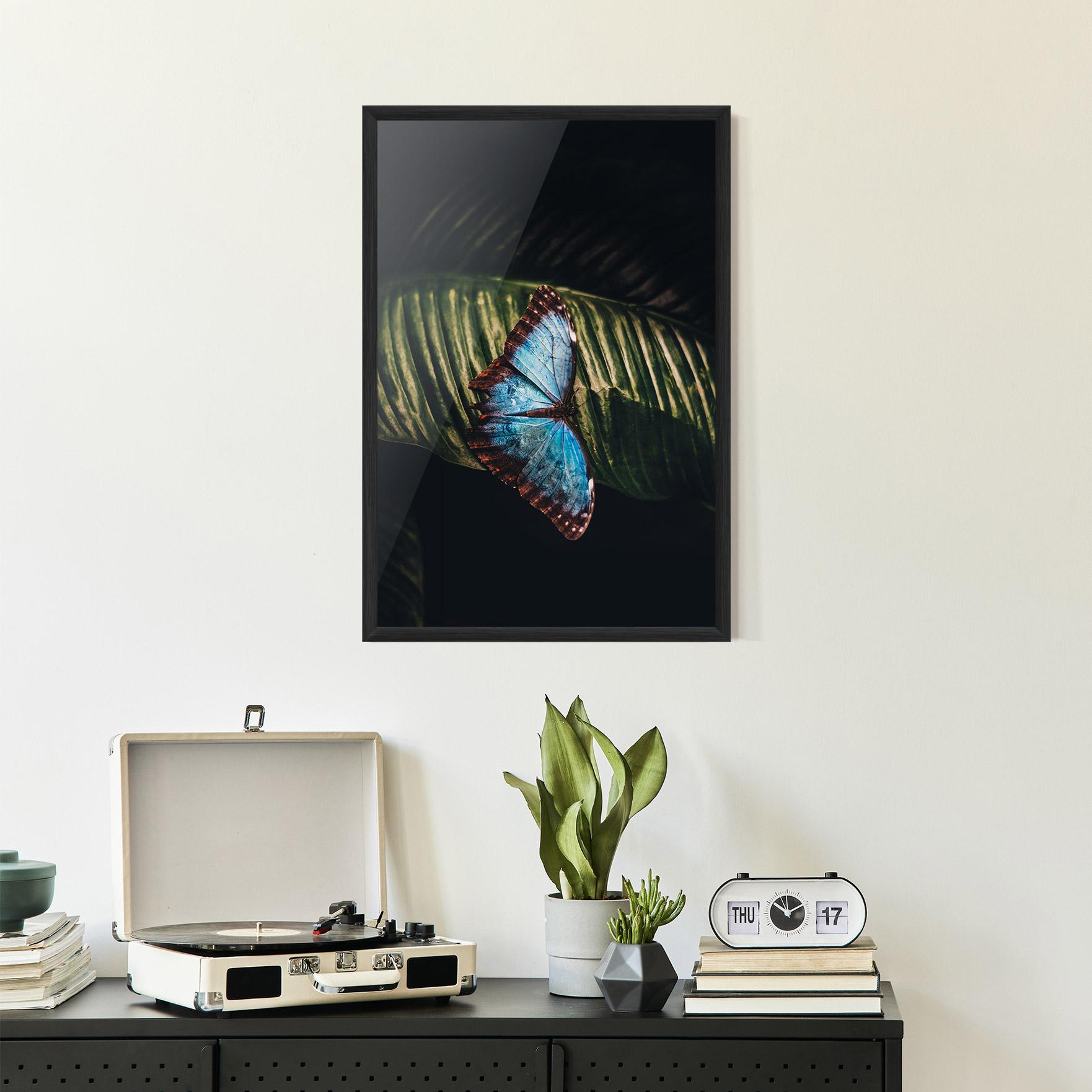 Poster Înrămat Light Blue Butterfly mockup 2