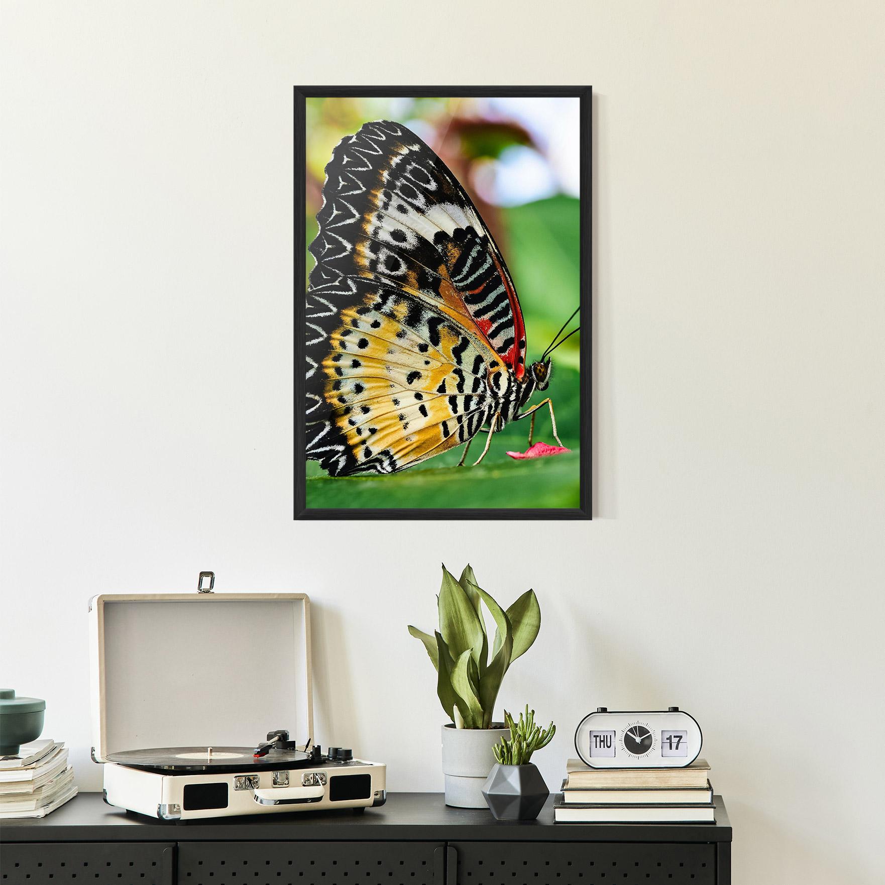 Poster Înrămat Pretty Colorful Butterfly mockup 2