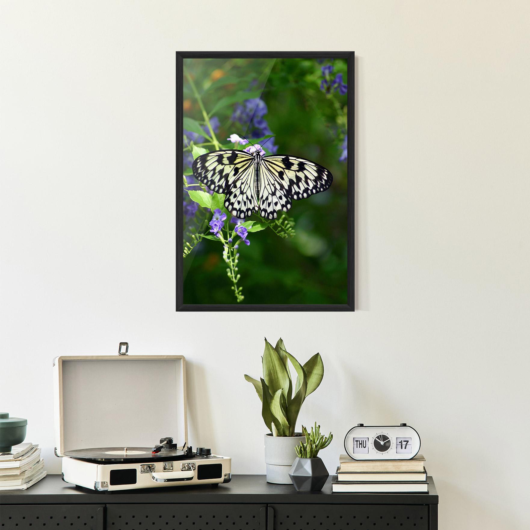 Poster Înrămat Pretty White Butterfly mockup 2