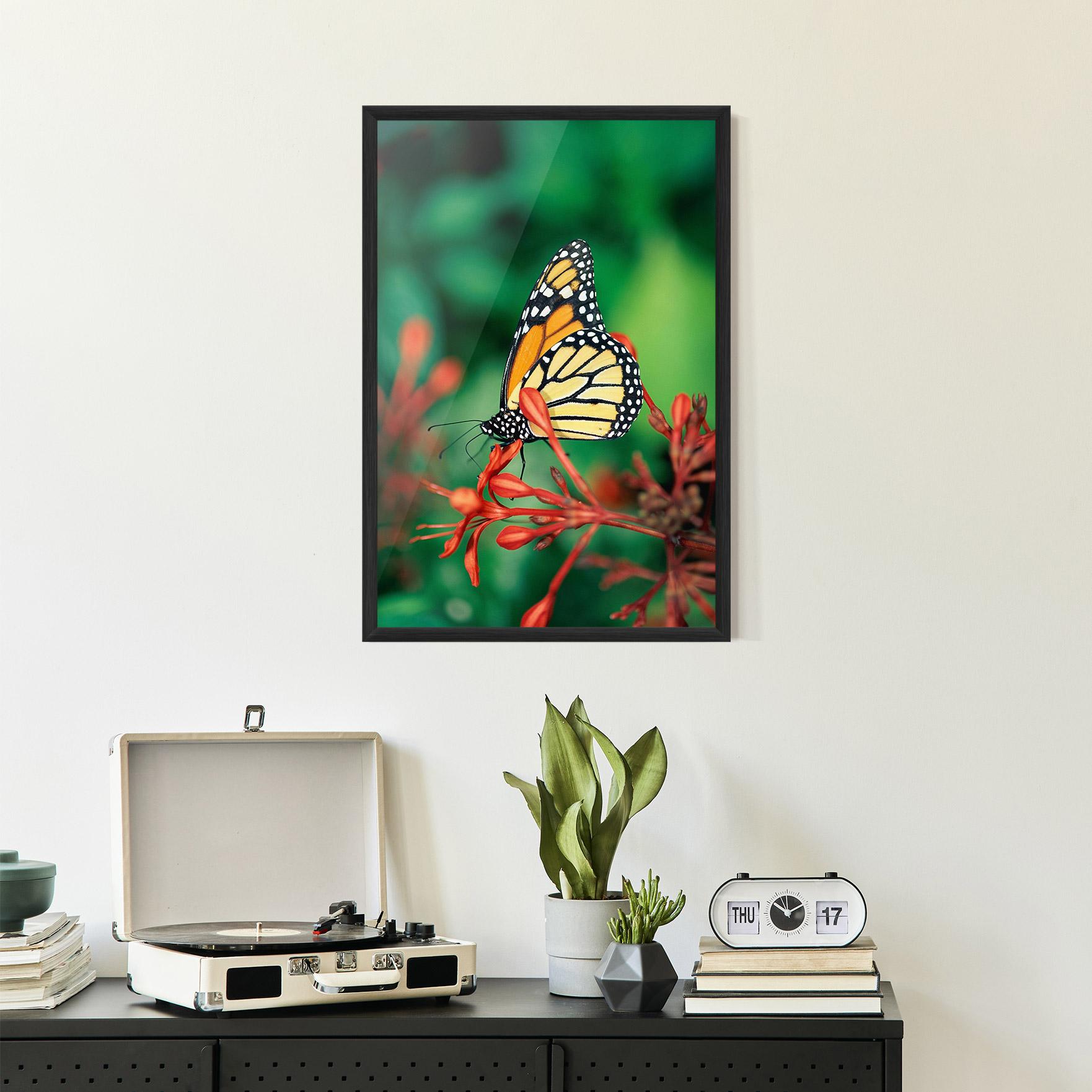 Poster Înrămat Small Orange Butterfly mockup 2