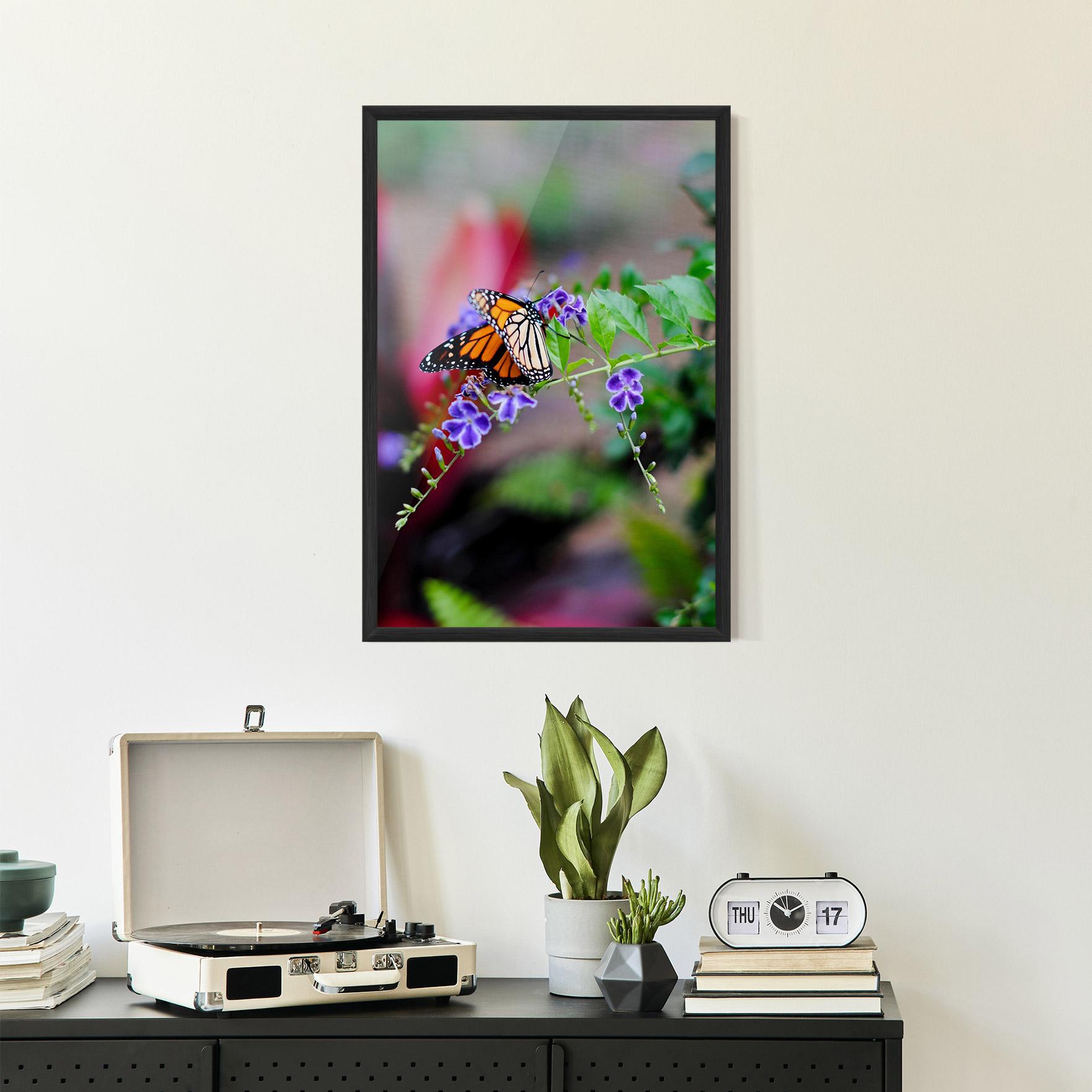 Poster Înrămat Strong Orange Butterfly mockup 2