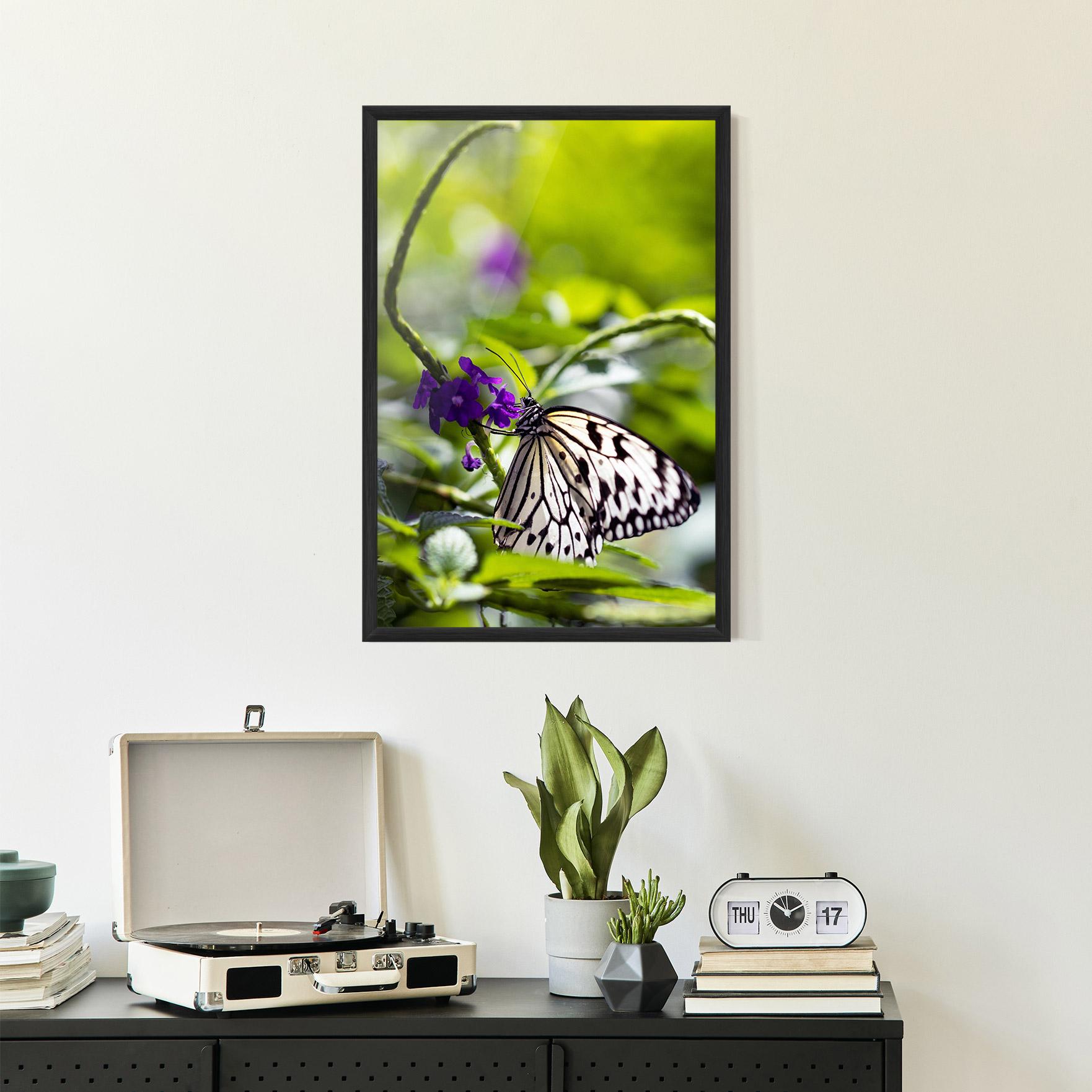 Poster Înrămat White Black Butterfly mockup 2